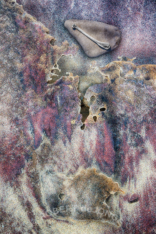 A surreal interpretation of sand and stone and skeletal remains at South Manitou Island
