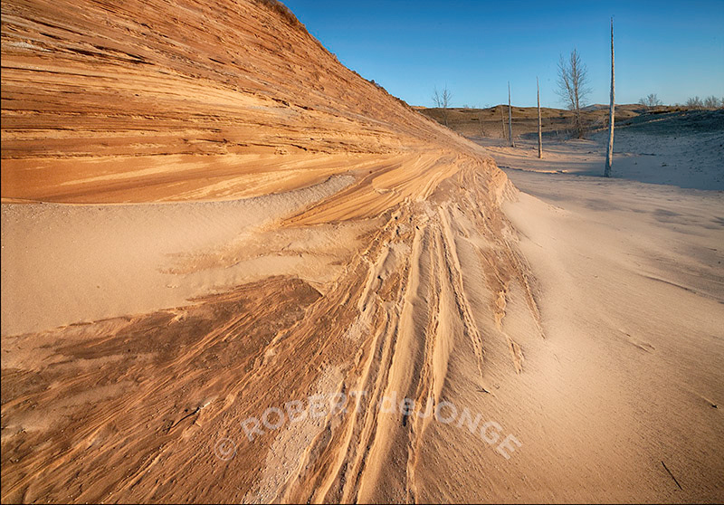 Ghost Forest, Sleeping Bear Point, erosion, scoured ridge, trail