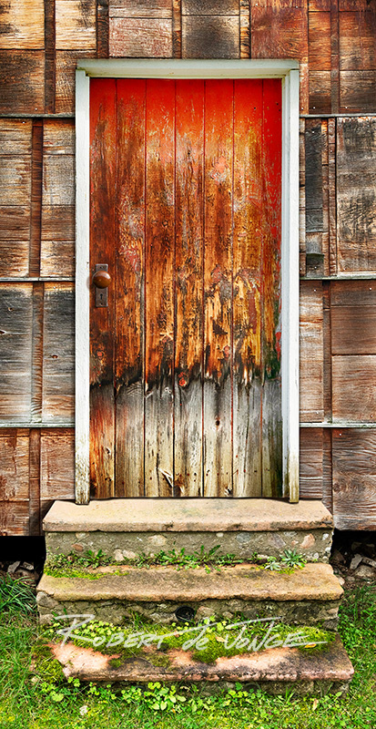 A old out building door with the red paint worn off on the lower third with mossy steps below