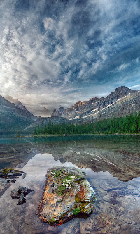 Yoho National Park, Lake Ohara, Panorama, Canadian Rockies, British Columbia, BC, Glacier