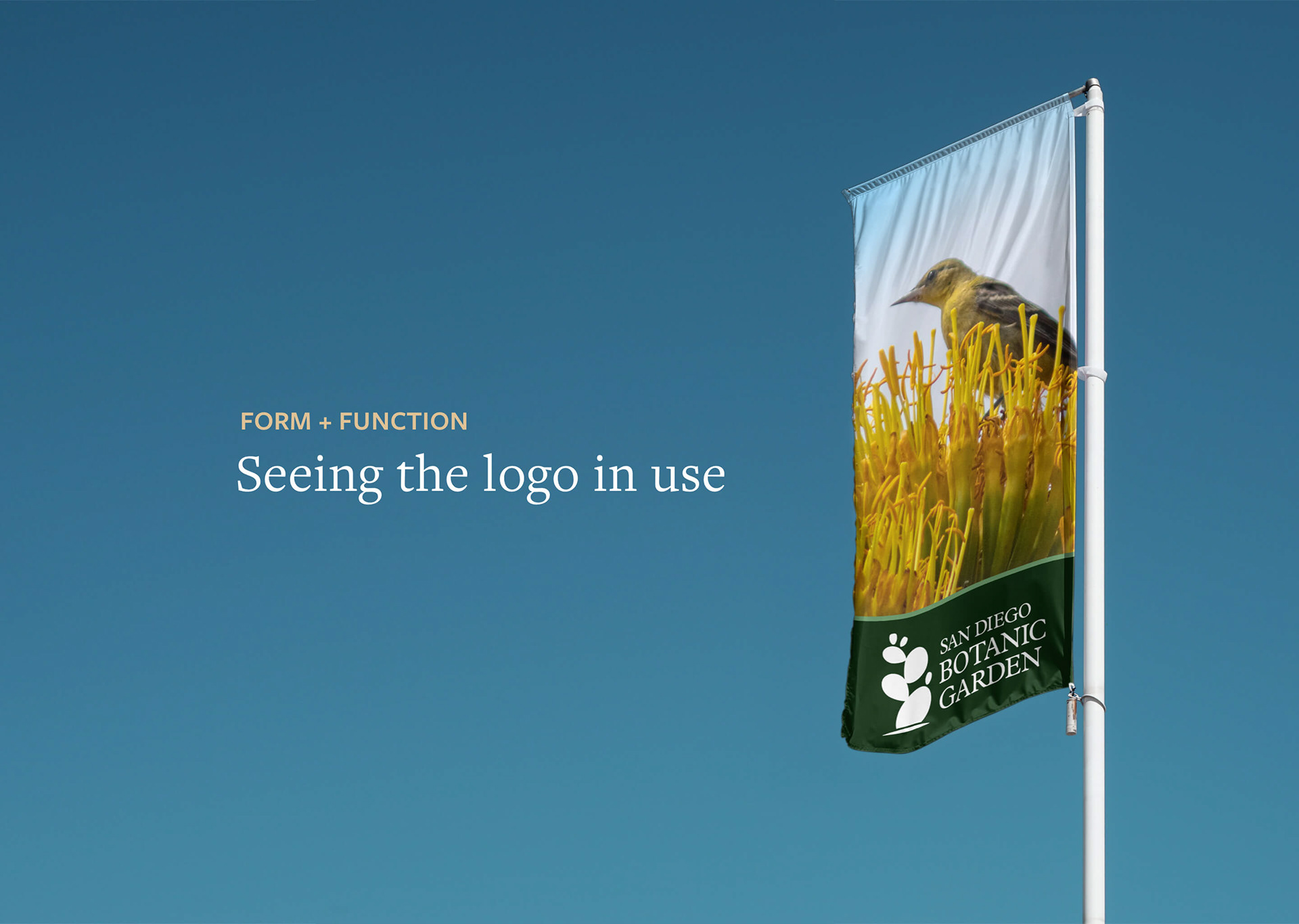 Mockup of the San Diego Botanic Garden logo on a flag