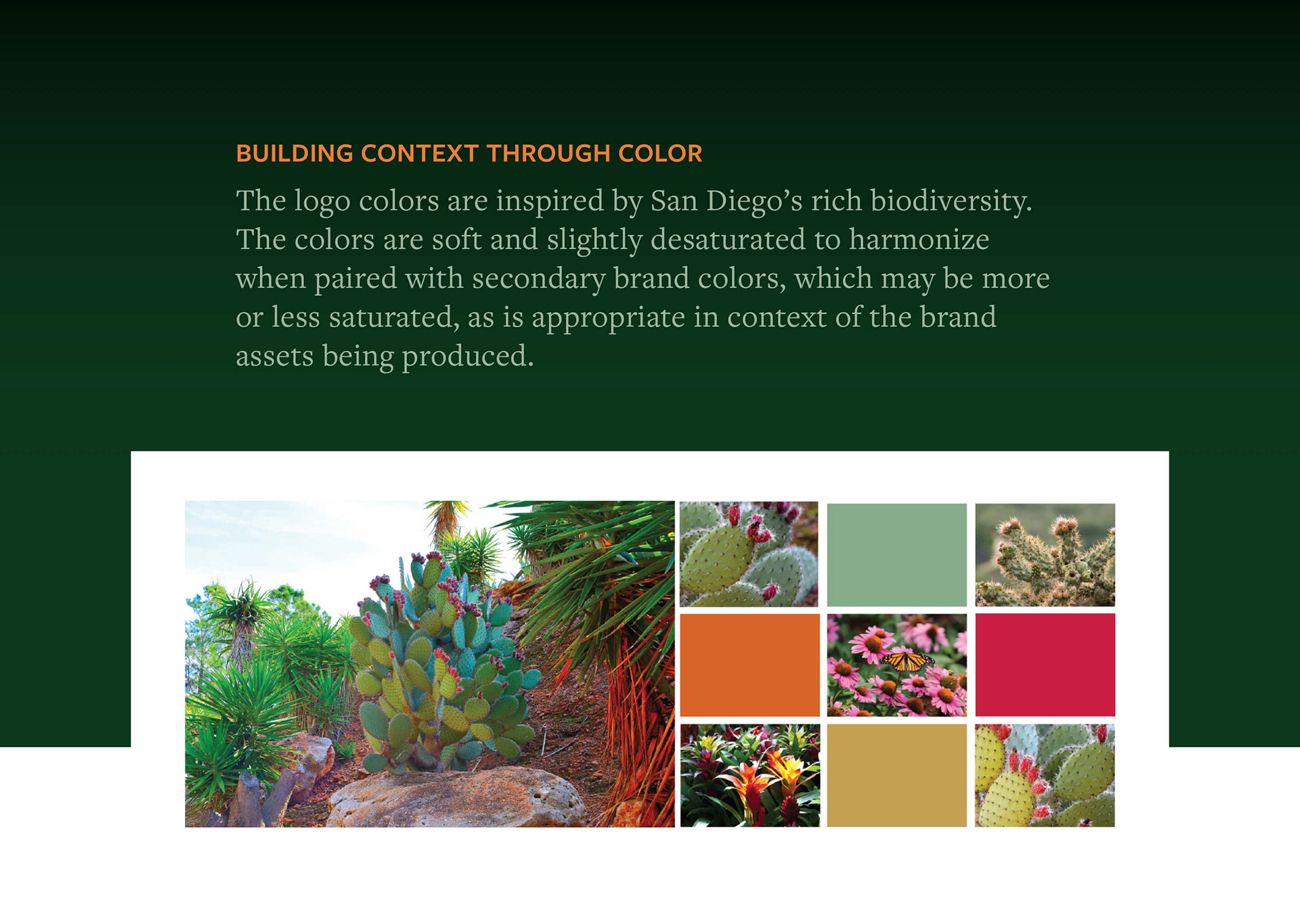 San Diego Botanic Garden color palette