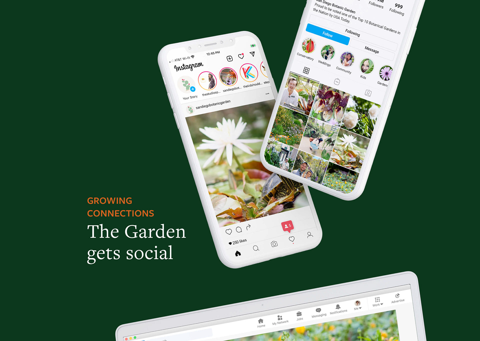 San Diego Botanic Garden logo mockup on an Instragram mobile interface