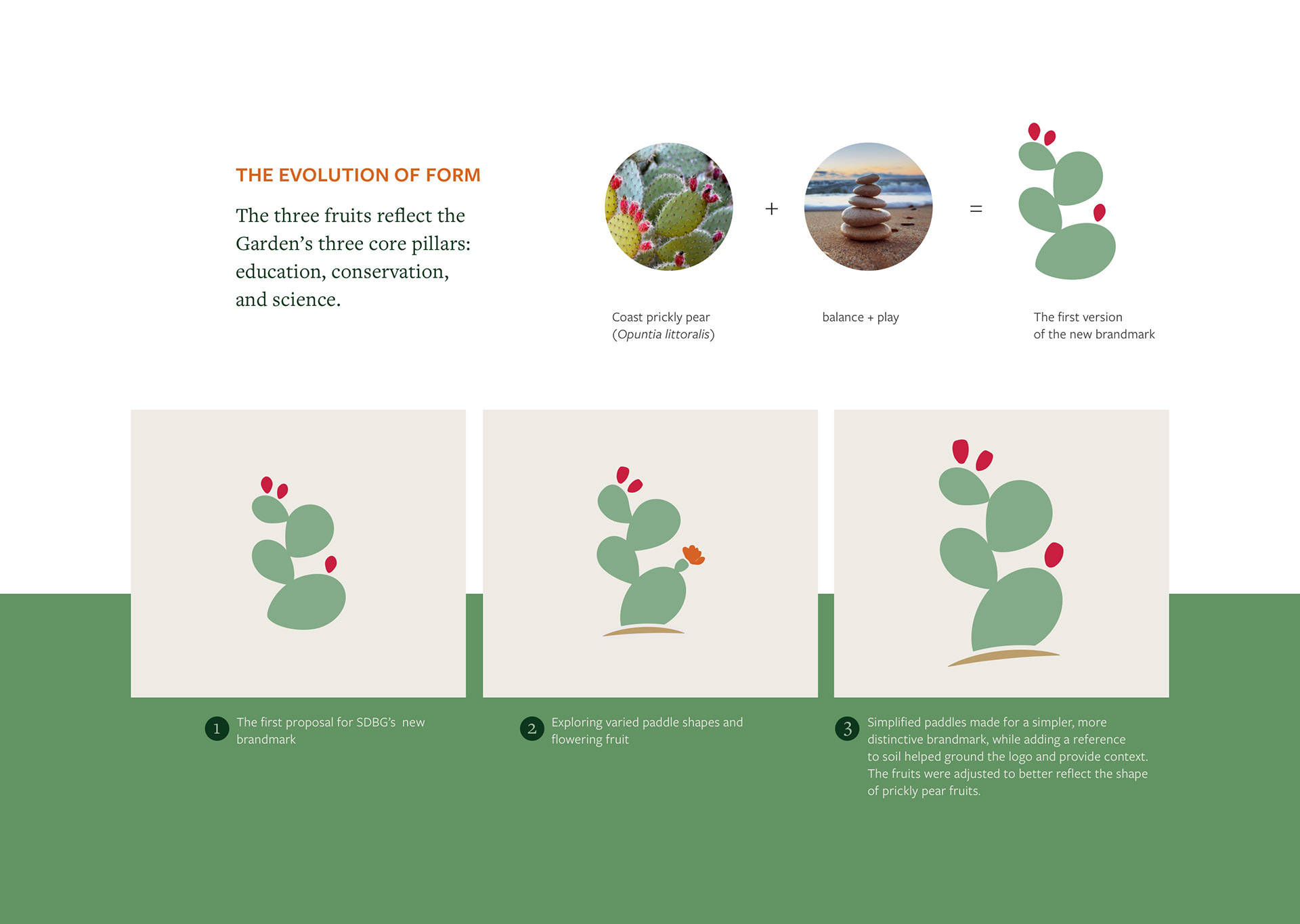 Evolution of the San Diego Botanic Garden Logomark