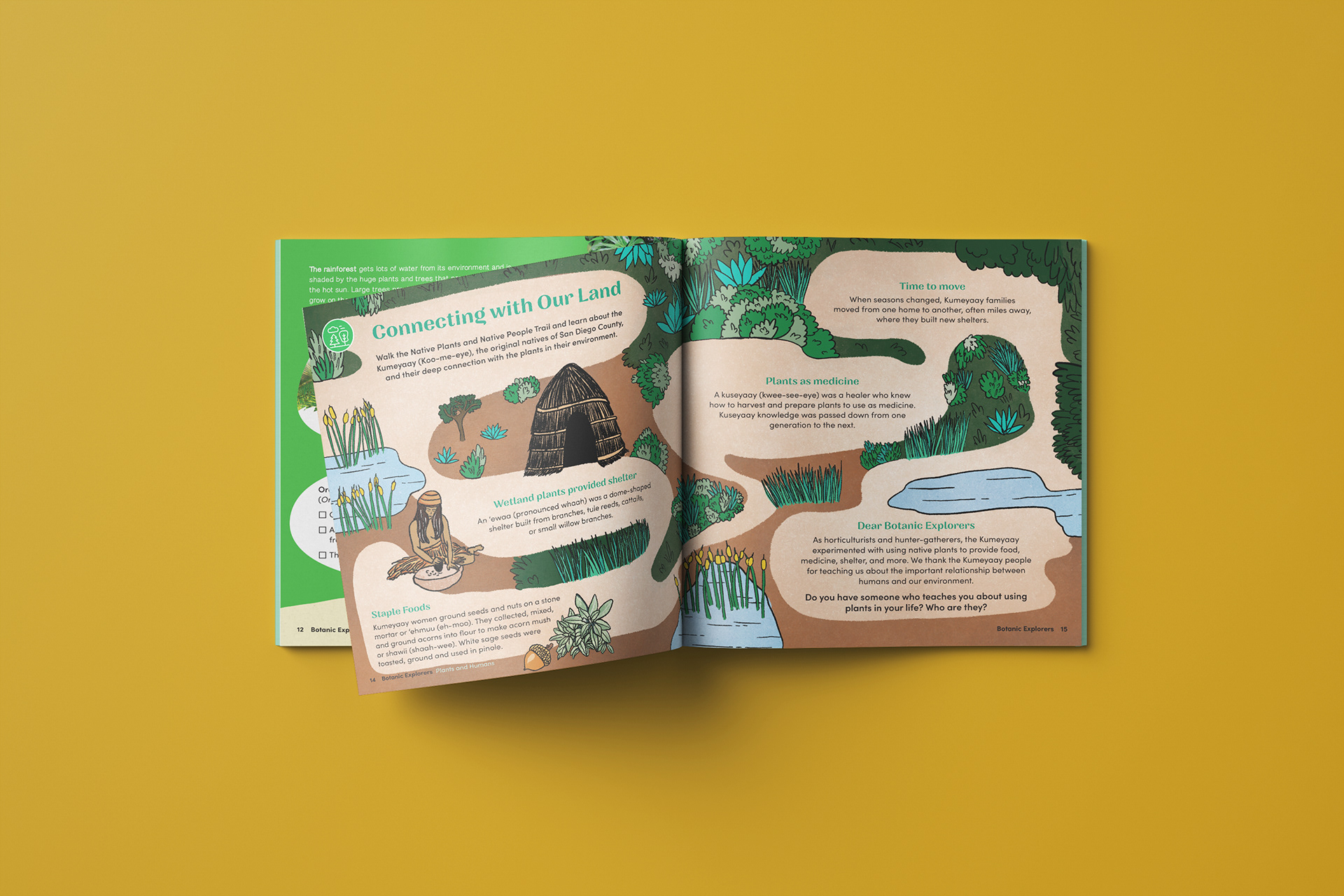 Connecting with our Land: An activity page in Botanic Explorers shares the story of how the Kumeyaay used native San Diego plants. Client, San Diego Botanic Garden. Illustration and design by Abby Miller.