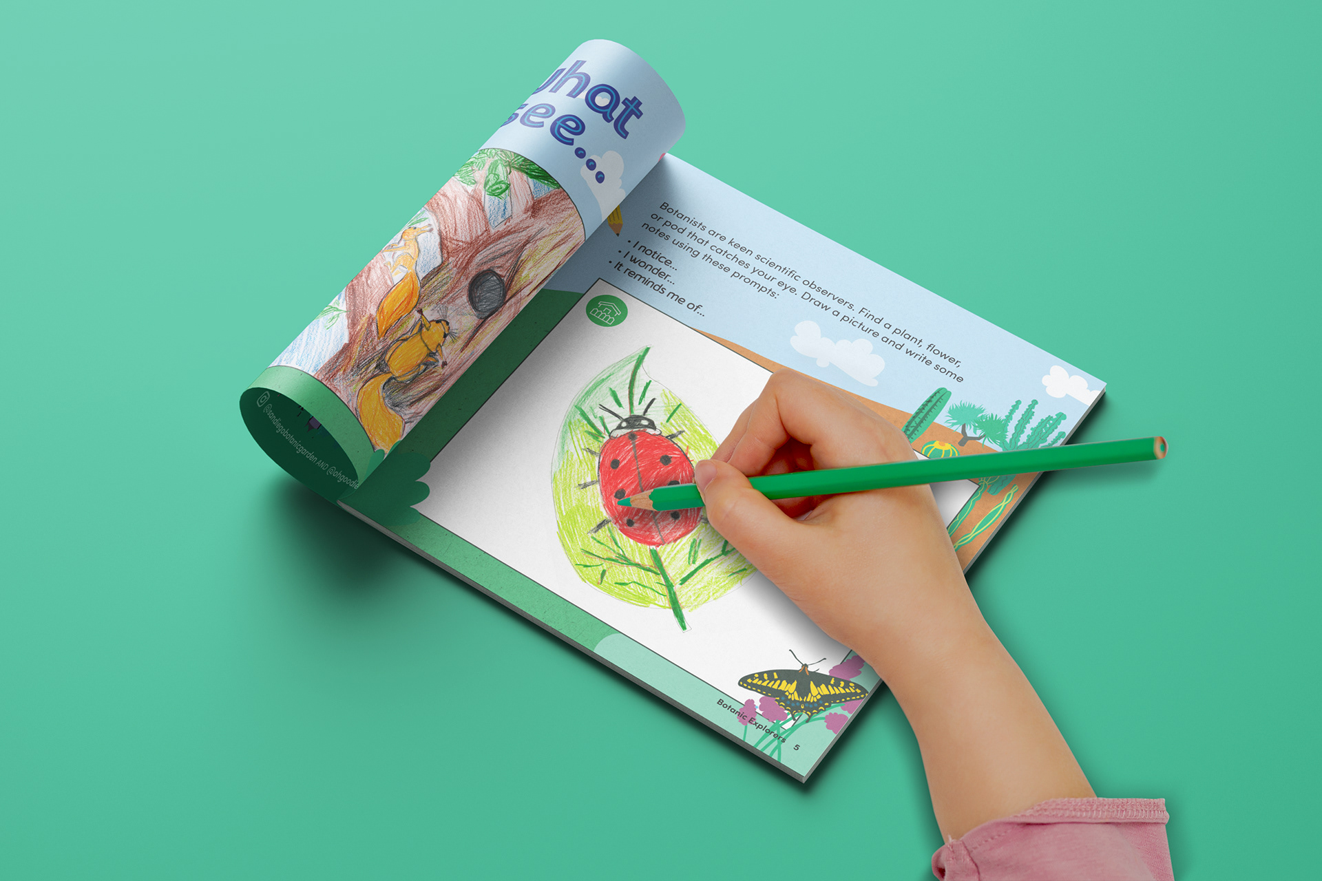 Scientitific observation using our senses. Botanic Explorers activity book. Client, San Diego Botanic Garden. Illustration and design by Abby Miller.