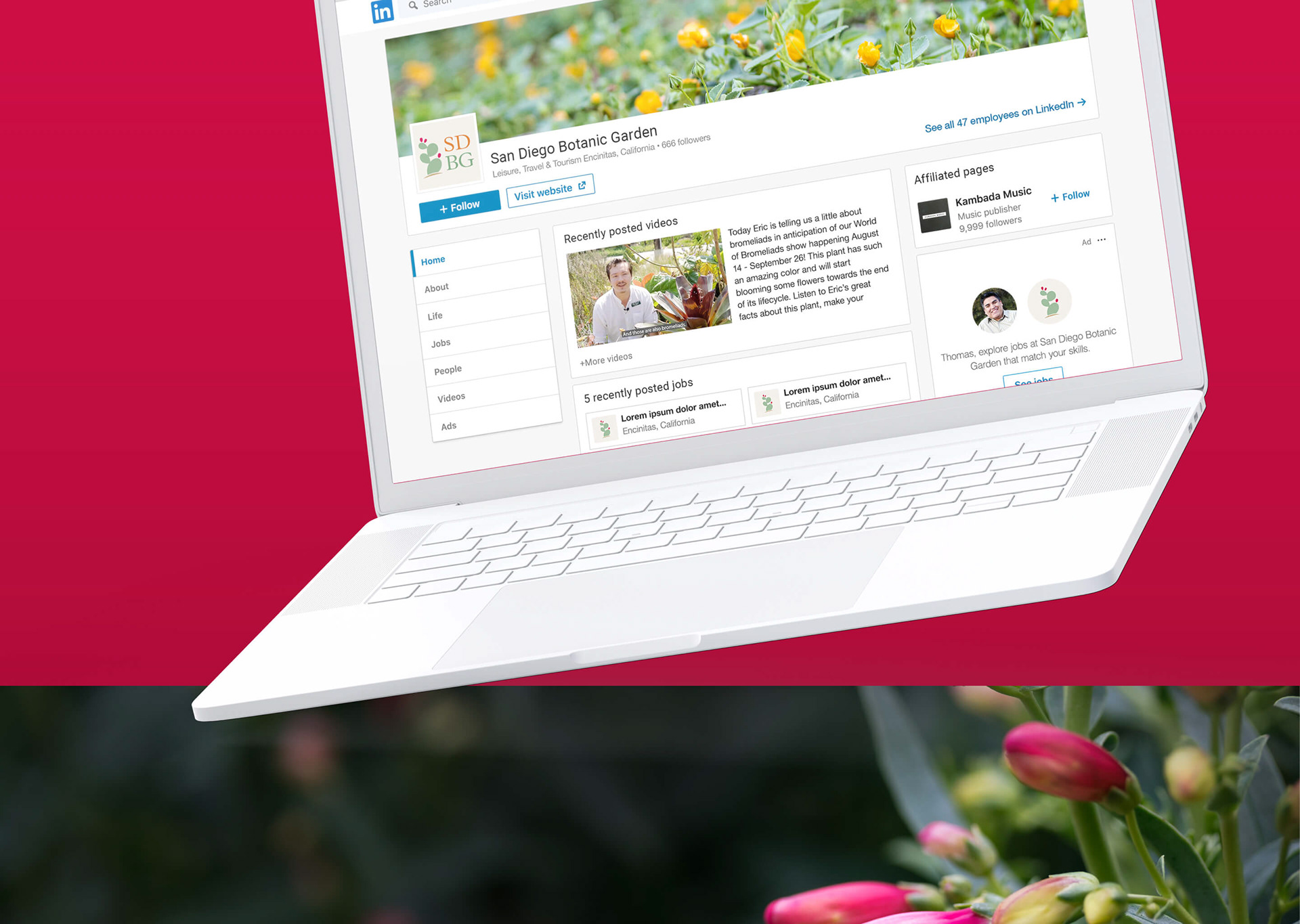 San Diego Botanic Garden logo mockup on a LinkedIn desktop interface