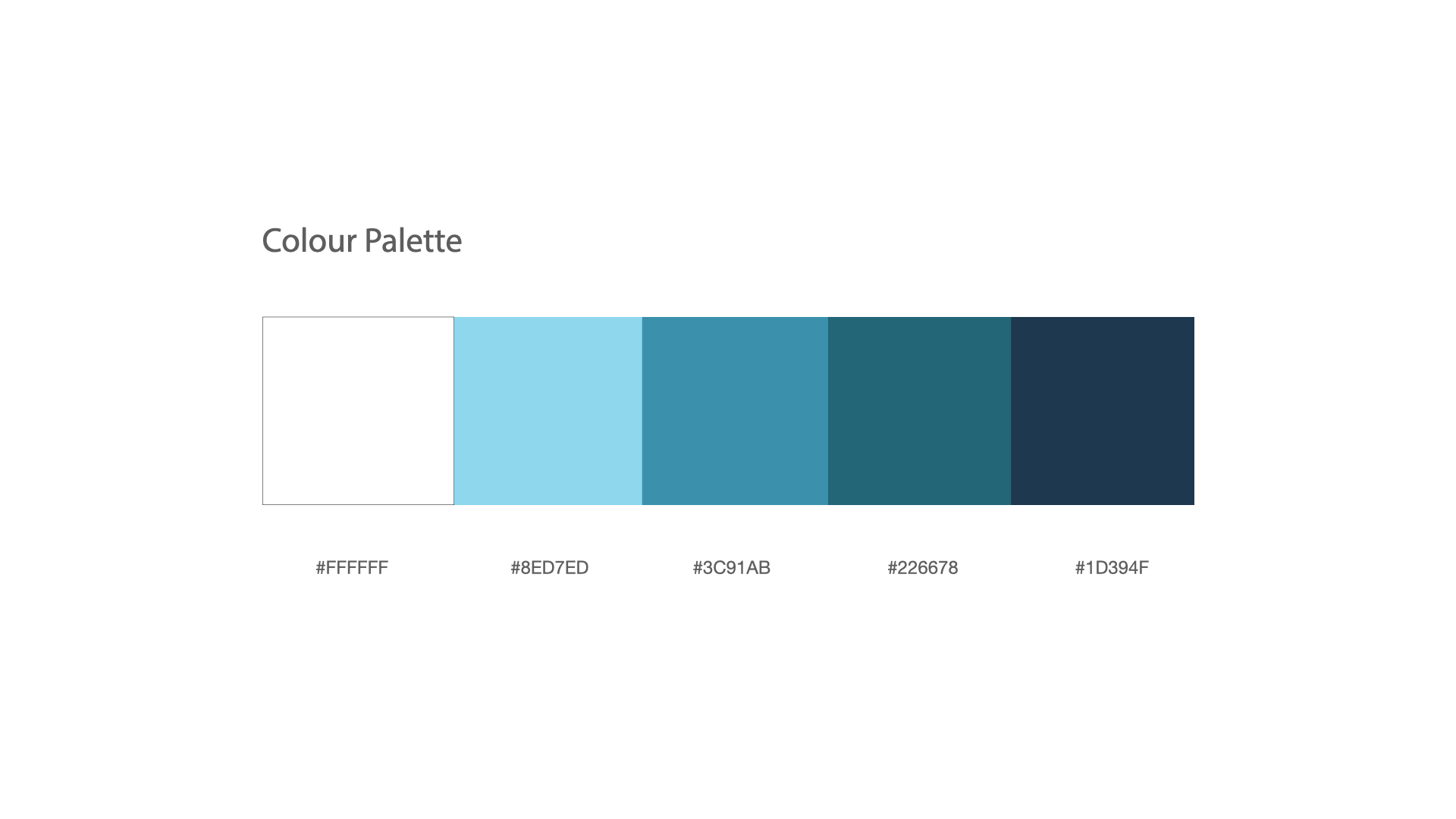 Colour Palette