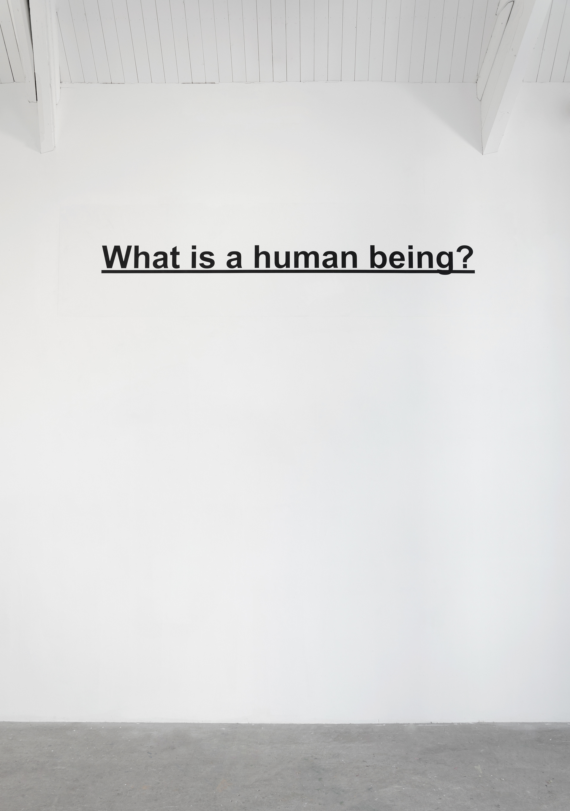 What is a human being?; Emily Jones, 2015; Giclée print; 75 × 300cm