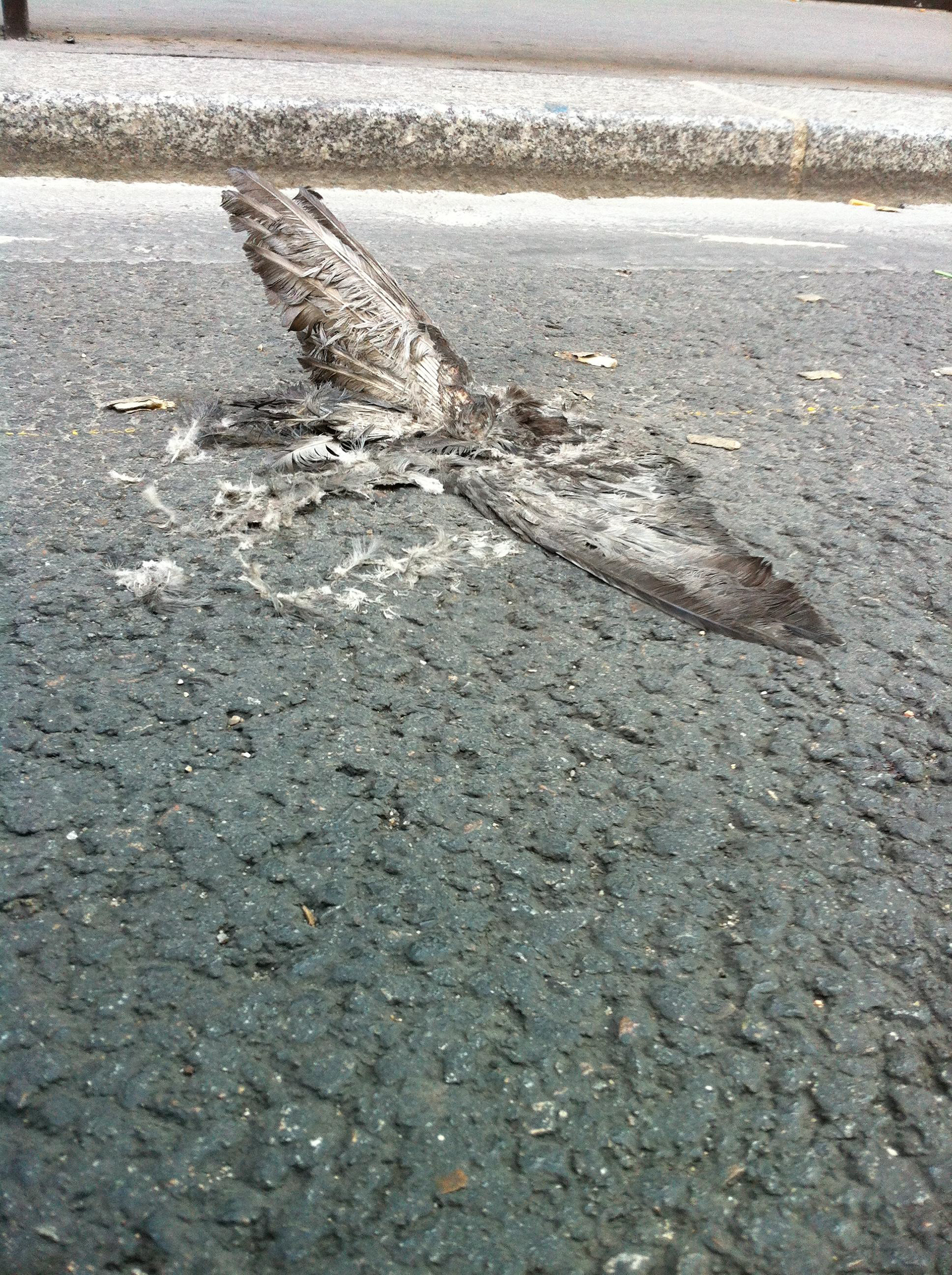 PhotogrPhotograph taken by Maïwenn Walteraph