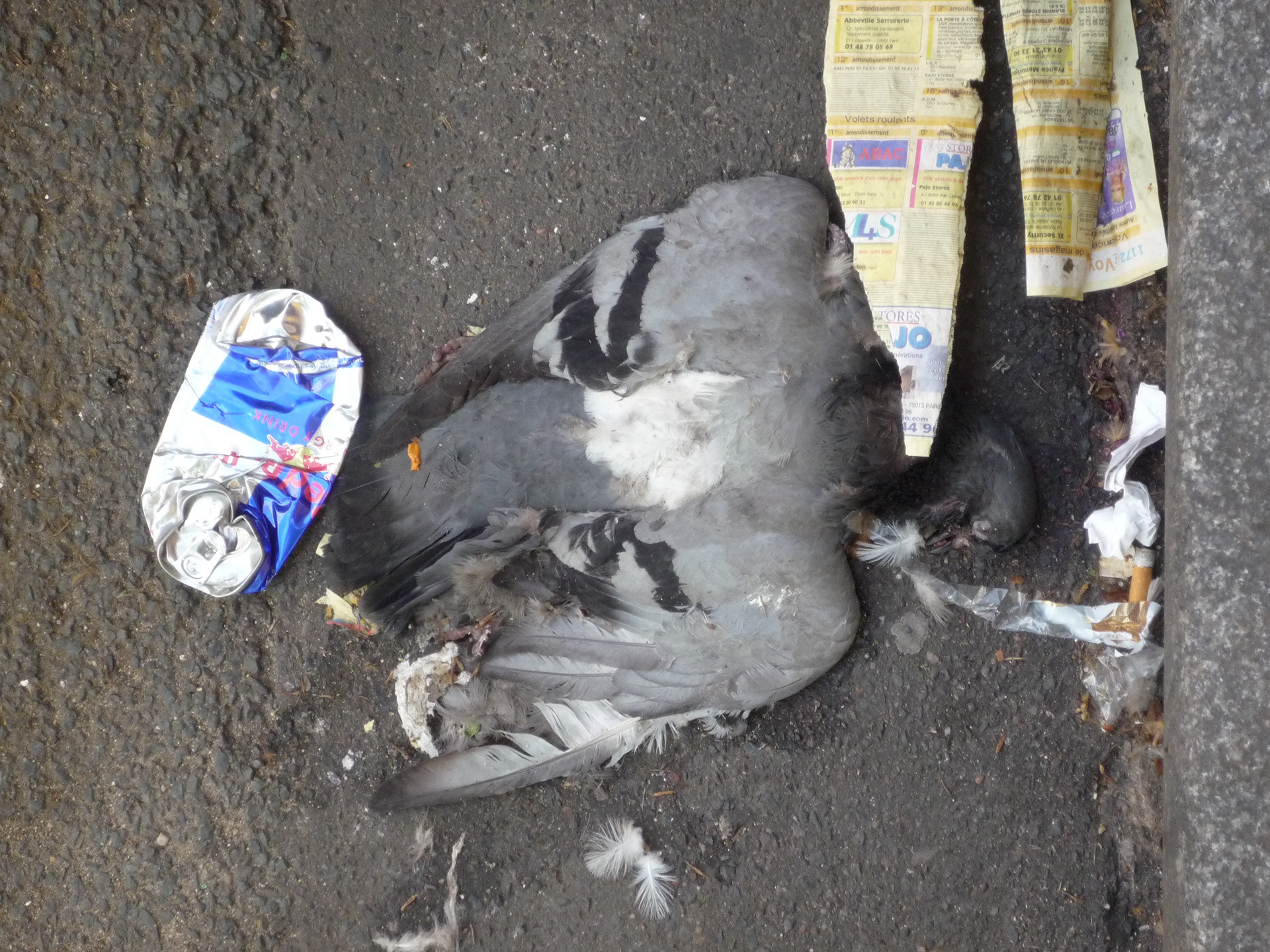 Photograph taken by Maïwenn Walter