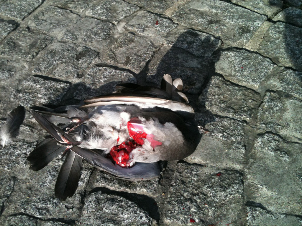 Photograph taken by Maïwenn Walter