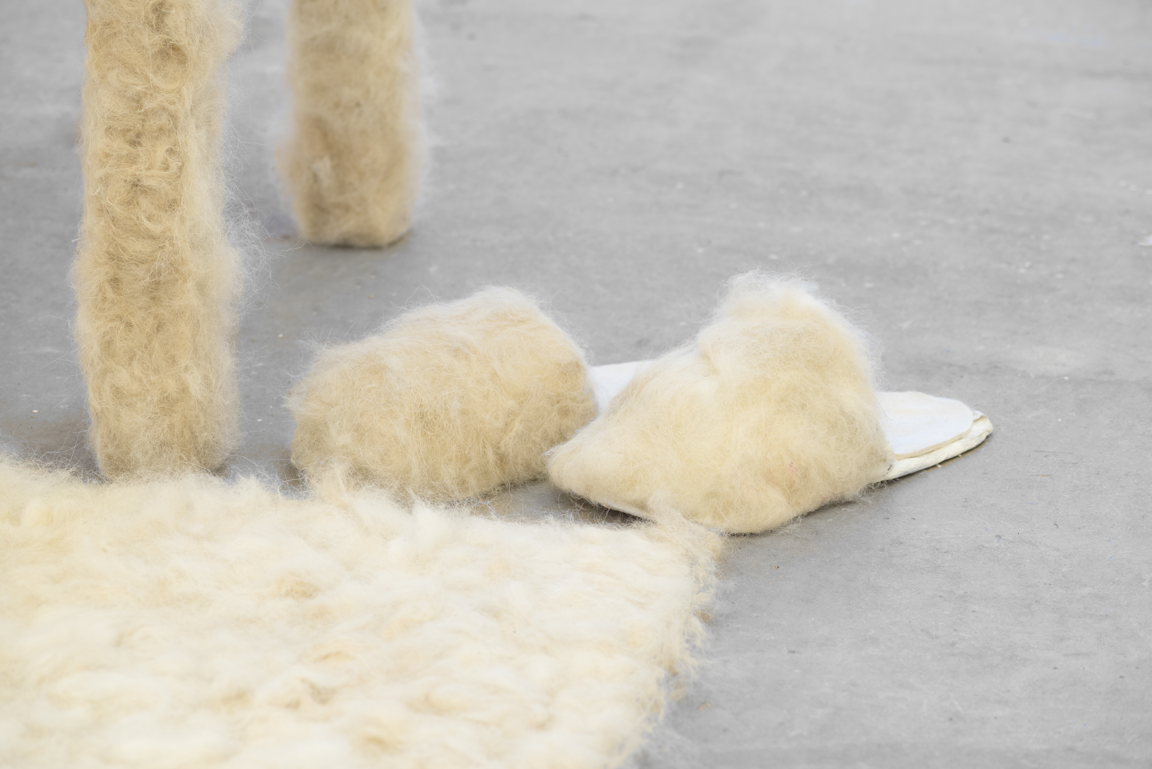 Today has been Ruff; Raphaella Davies, 2017; dog hair, installation, performance