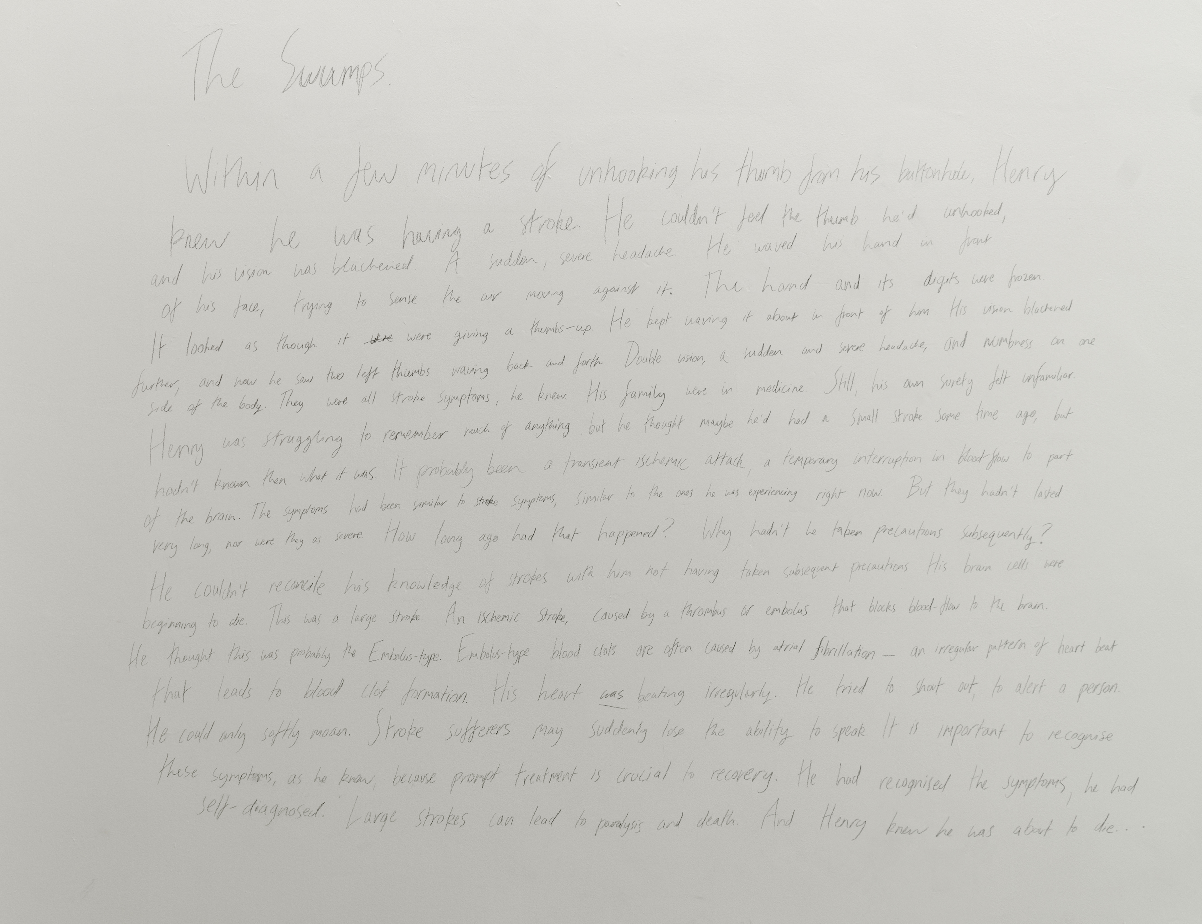 The Swumps; David Steans, 2013; Short horror story; dimensions variable