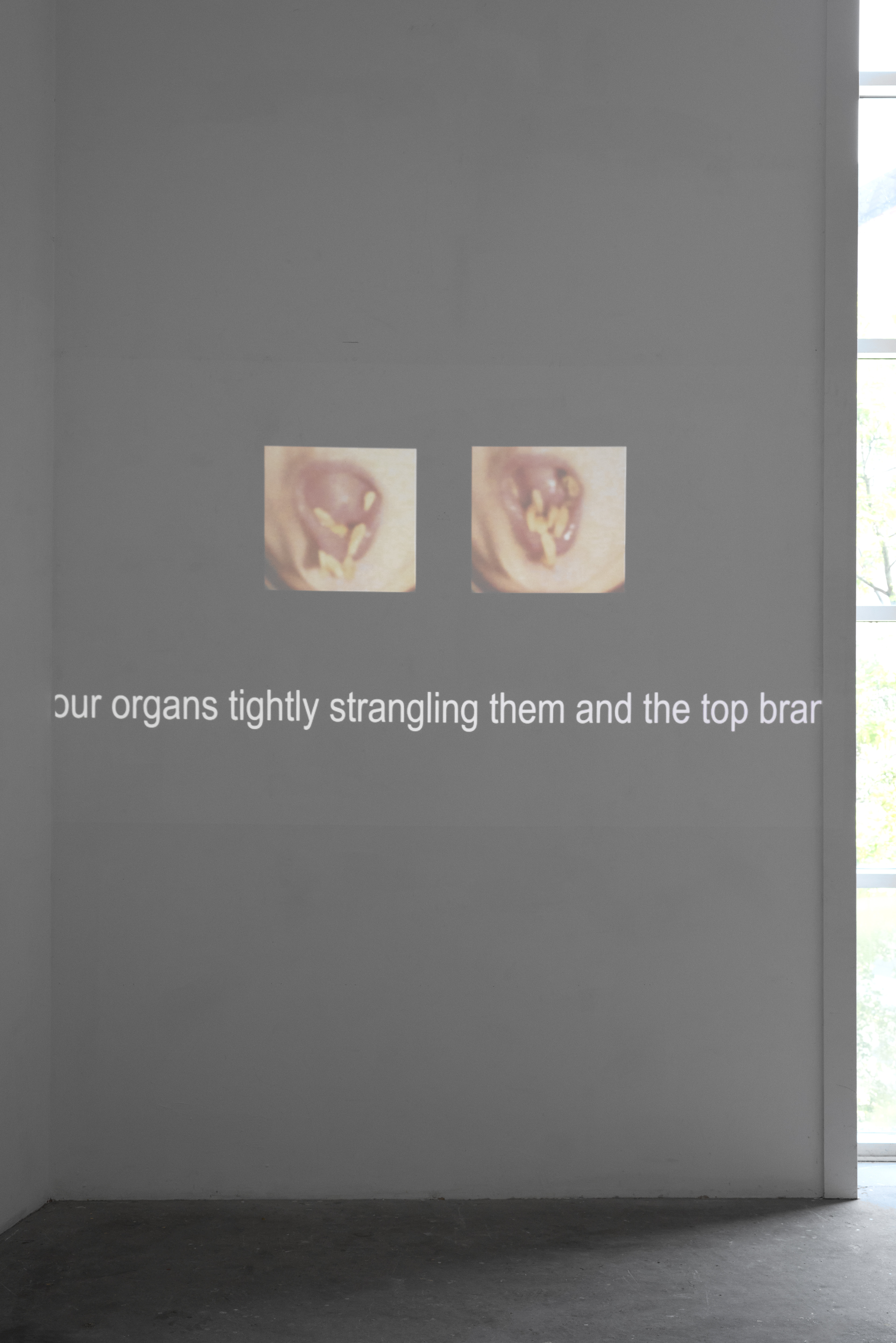 I spit out the pips, Nellie Saunby, 2016, video, metal and acrylic display units and 105 pips, 3 × 4 × 7cm [×6] / 00:05:07