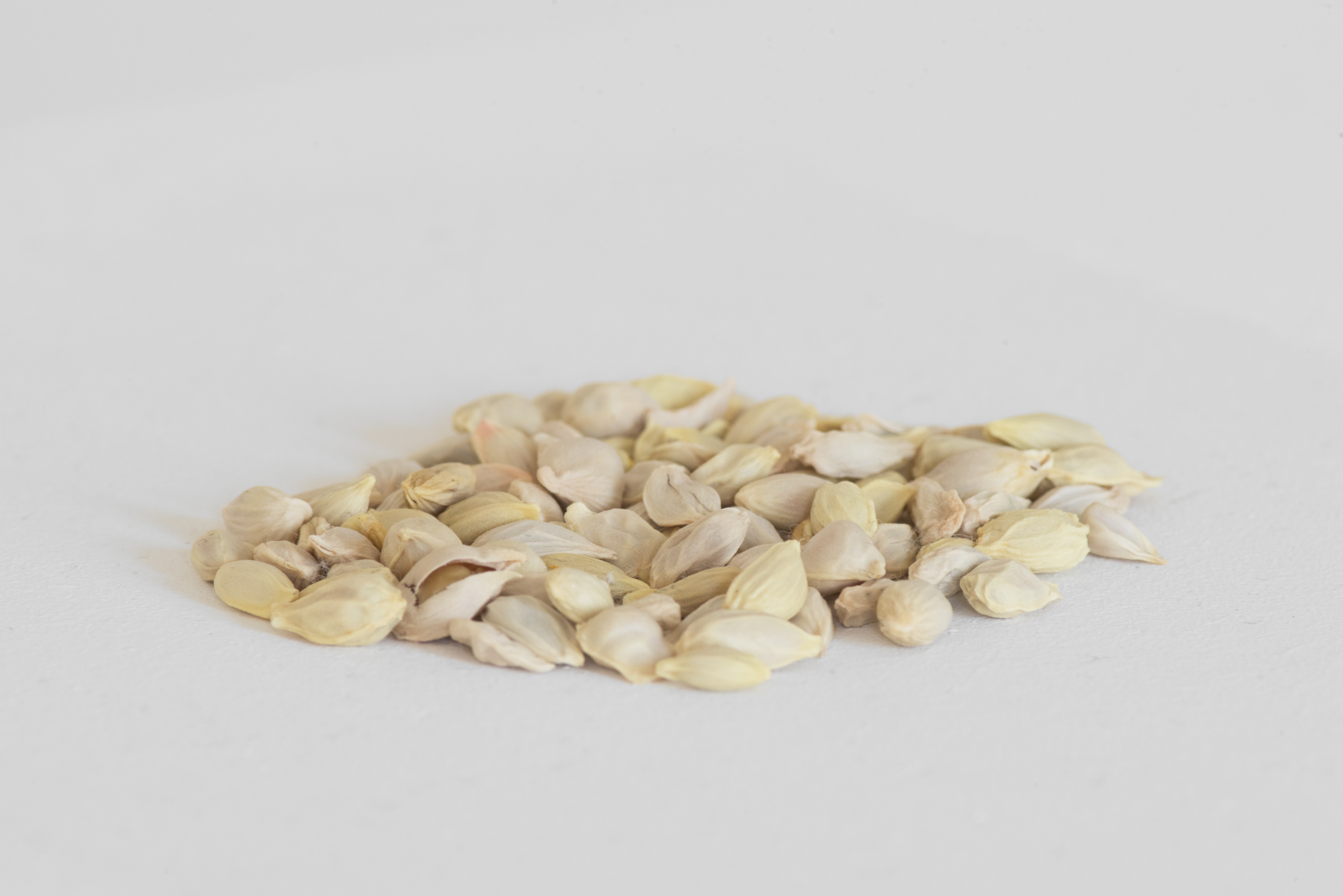 I spit out the pips, Nellie Saunby, 2016, video, metal and acrylic display units and 105 pips, 3 × 4 × 7cm [×6] / 00:05:07