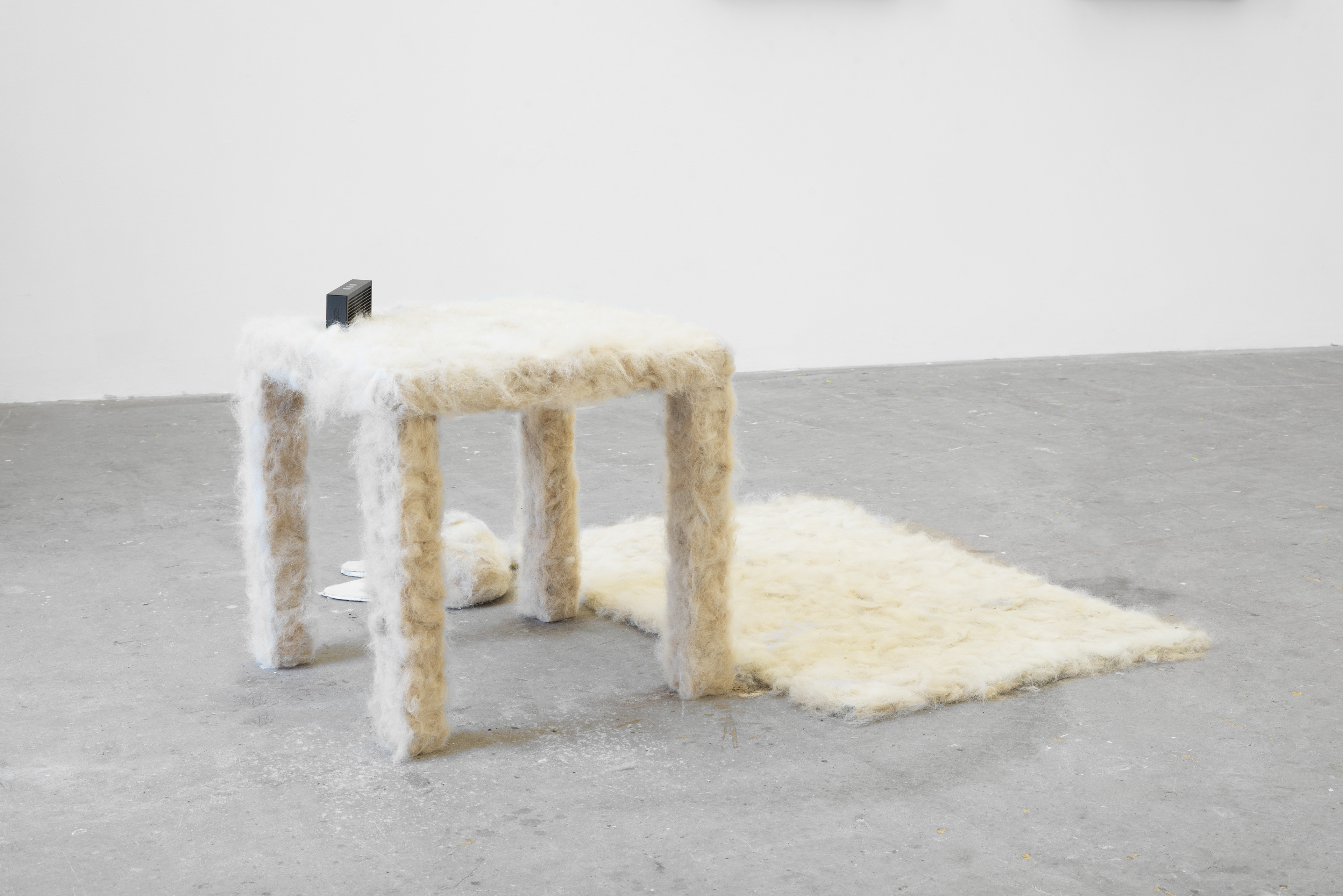 Today has been Ruff; Raphaella Davies, 2017; dog hair, installation, performance