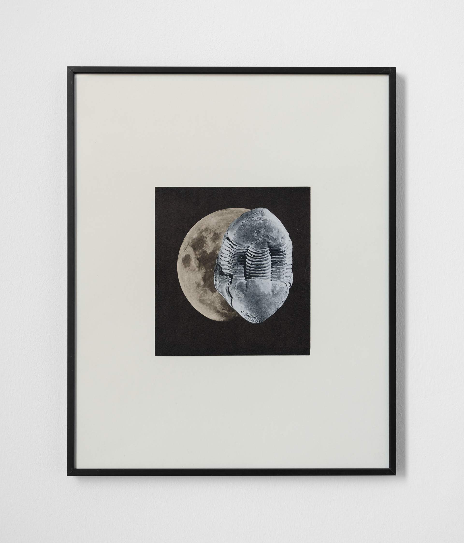 Aeon; Marcus Kleinfeld, 2013; Collage; 50 × 40cm