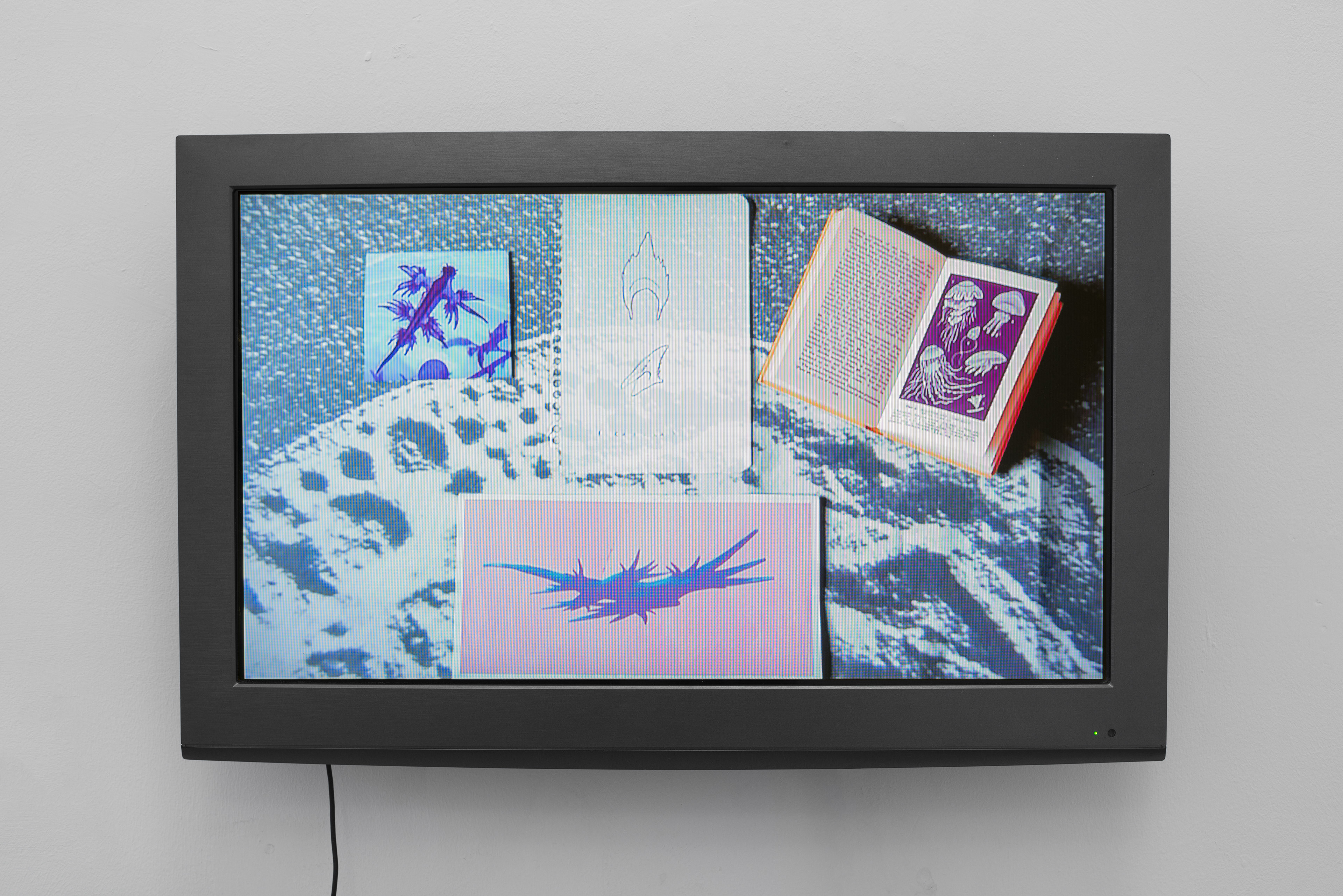 Blue Angel II; Amy Gough, 2016; single channel video; 00:05:03