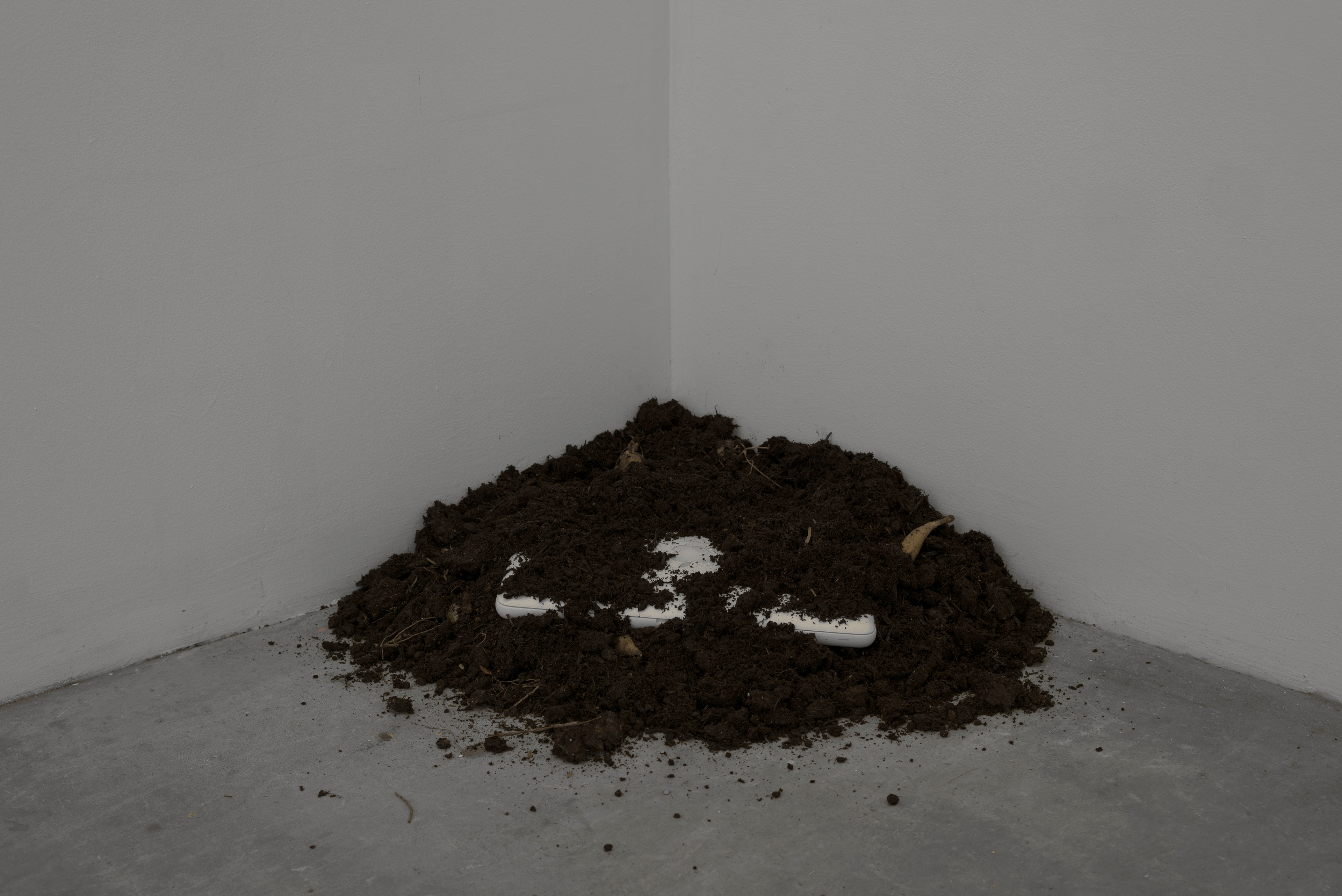 Husk; Paul Takahashi, 2016