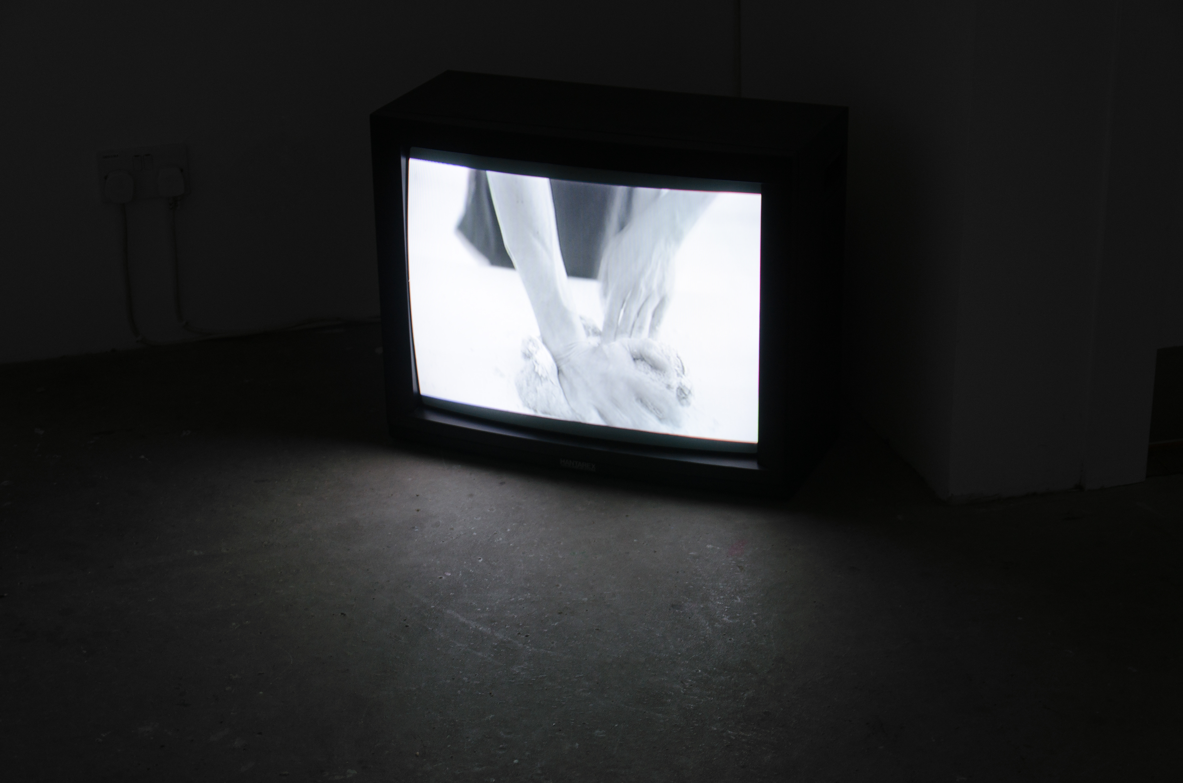 Teasel and Scabious at work, February; Lyndsay Mann, 2013; projections, monitor with sound, vinyl text, silkscreen on cartridge paper; dimensions variable