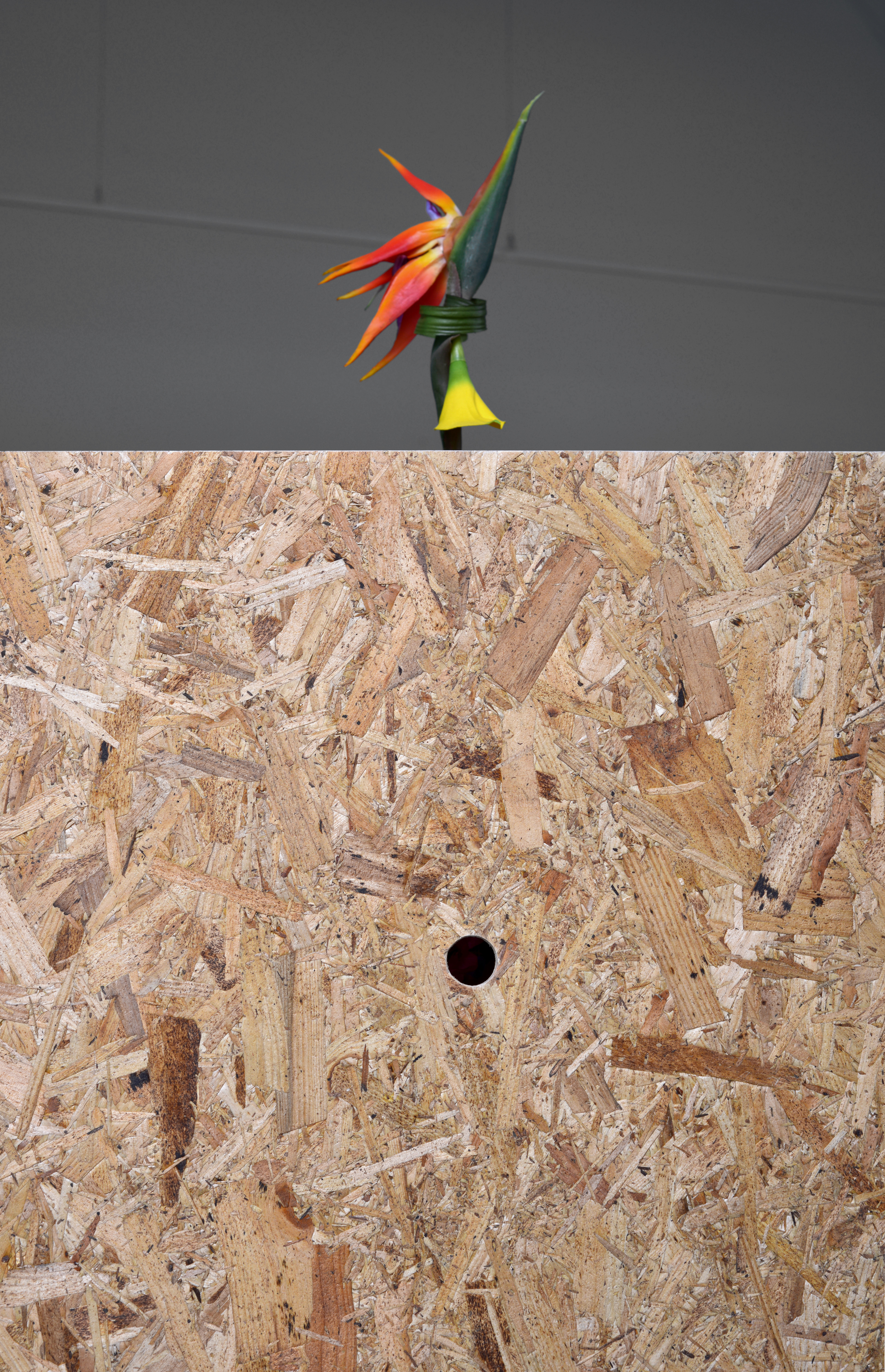 He pulled the mirrors off his Cadillac - YEAH - 'cause he doesn't like it looking like he looks back...; The Hut Project, 2013; The Hut Project, The Baroness, 2012, Artificial flowers arranged by Xanthe Edmunds, stolen log, oversize acrylic wine glass, beach sand; Drilled OSB board; 210 × 160 × 150cm approx.