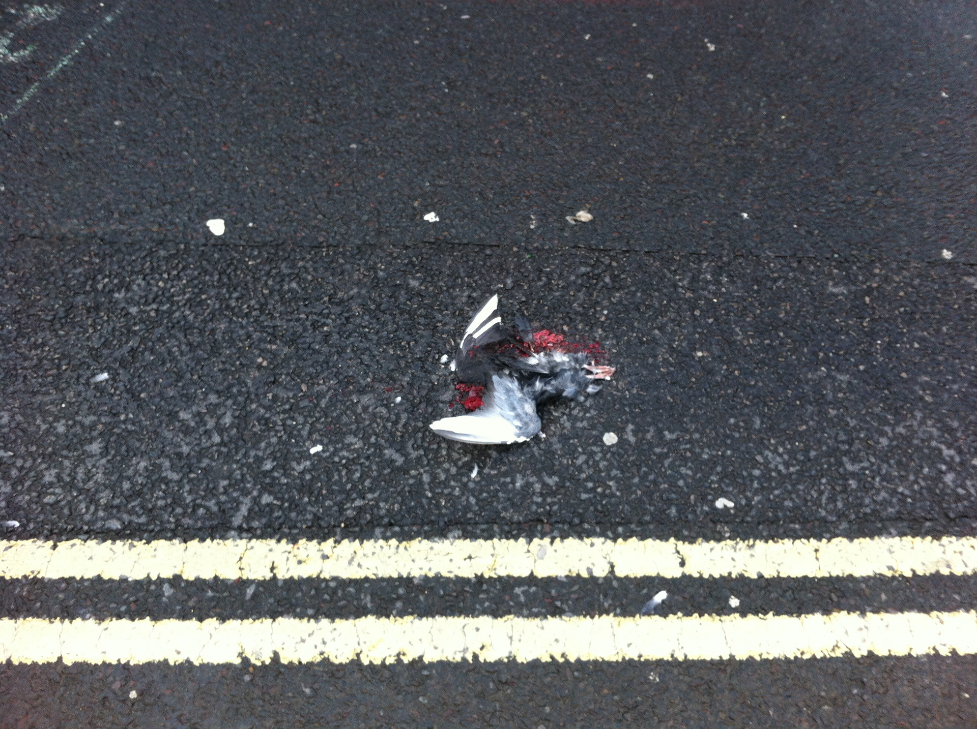 Photograph sent to Maïwenn Walter