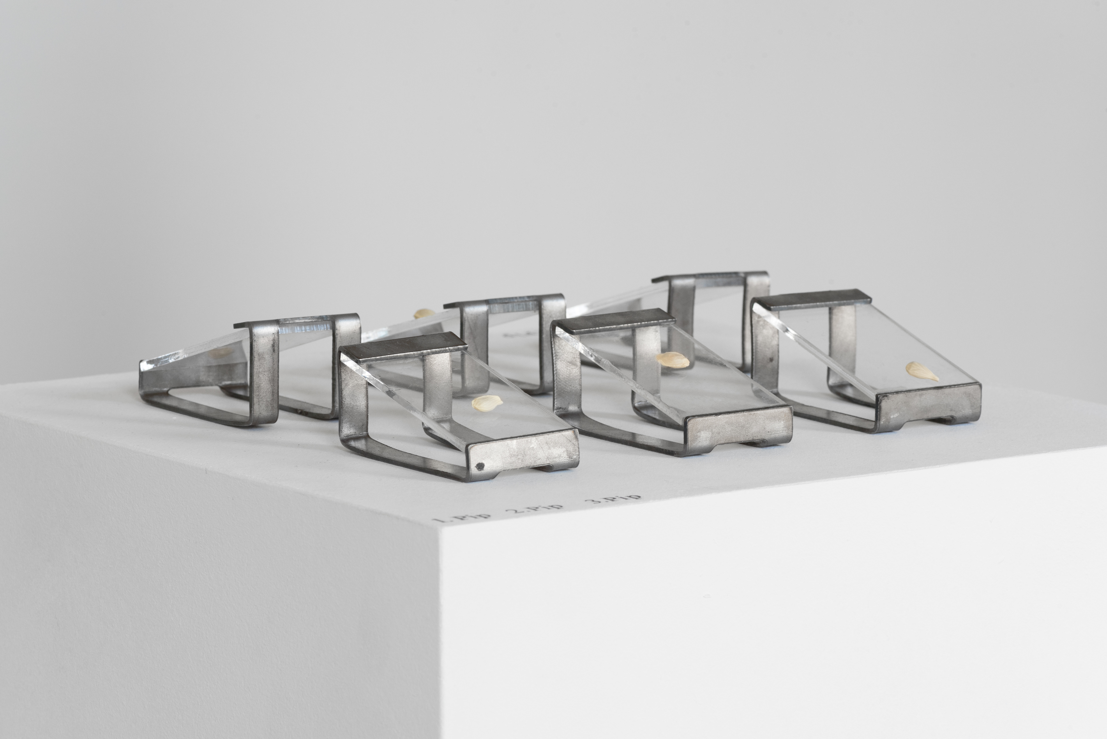 I spit out the pips, Nellie Saunby, 2016, video, metal and acrylic display units and 105 pips, 3 × 4 × 7cm [×6] / 00:05:07