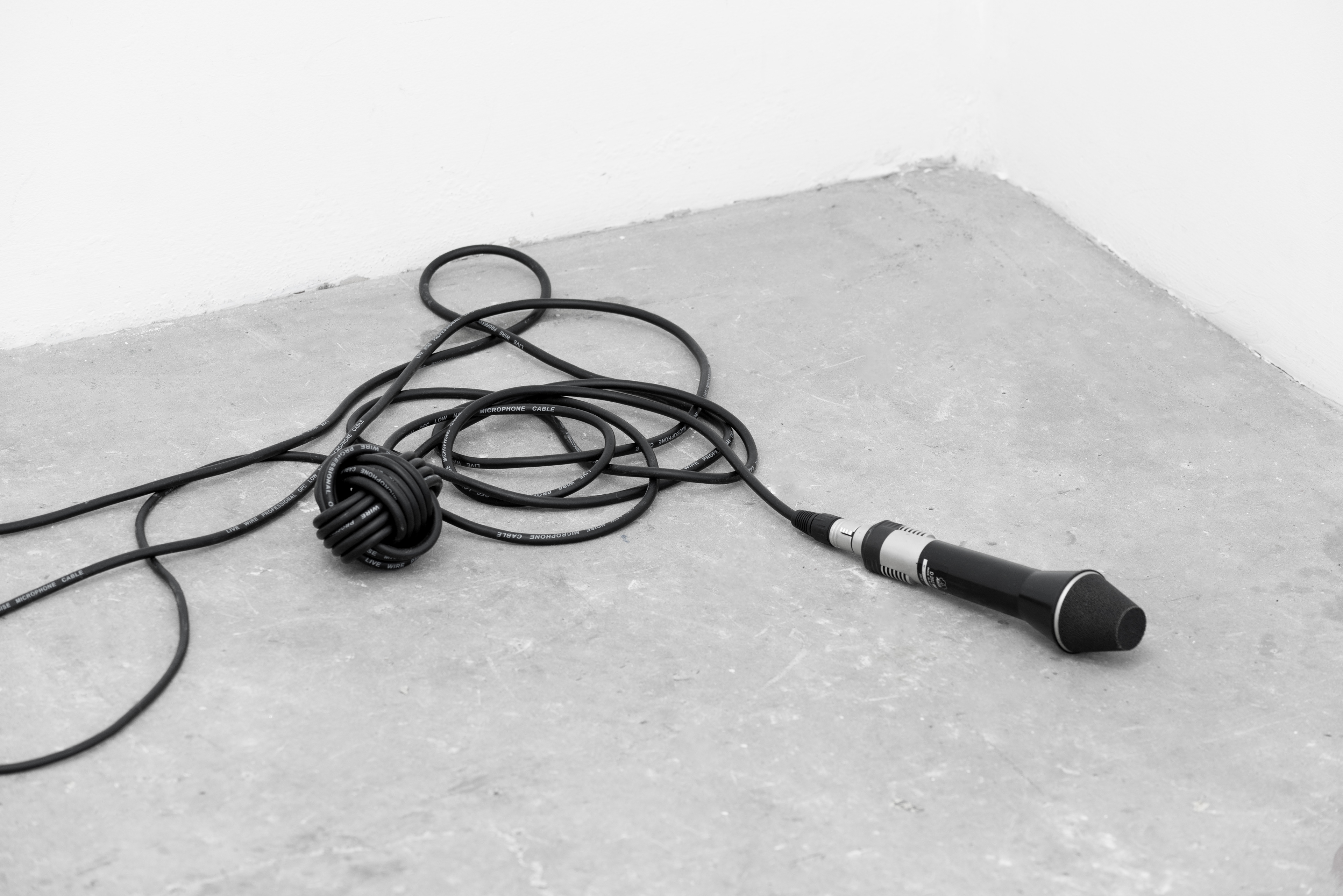 Microphone; John Flindt, 2017; microphone, cable; dimensions variable