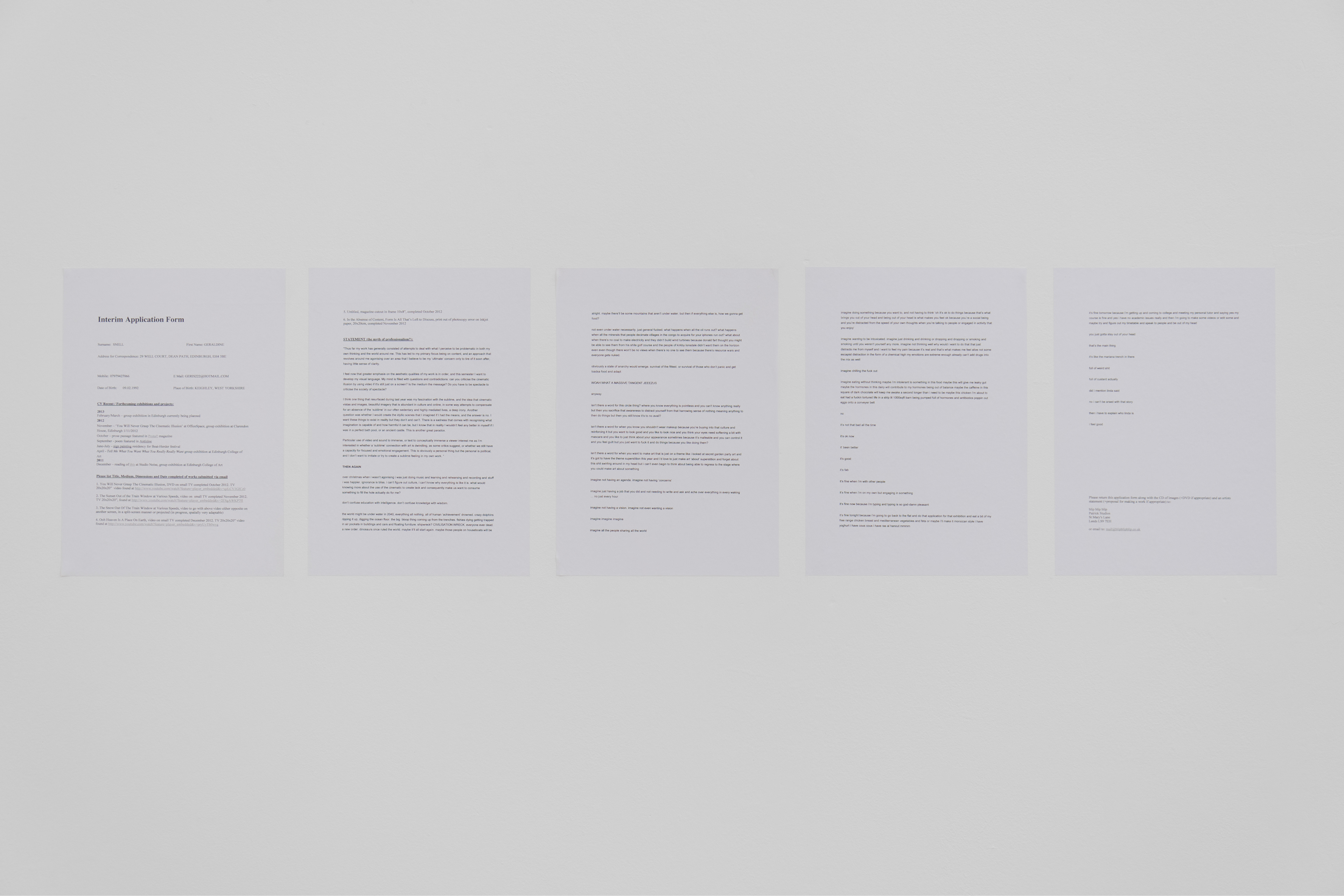 The Myth of Professionalism; Geraldine Snell, 2013; laserjet print on paper; 29.1 × 21cm [×5]