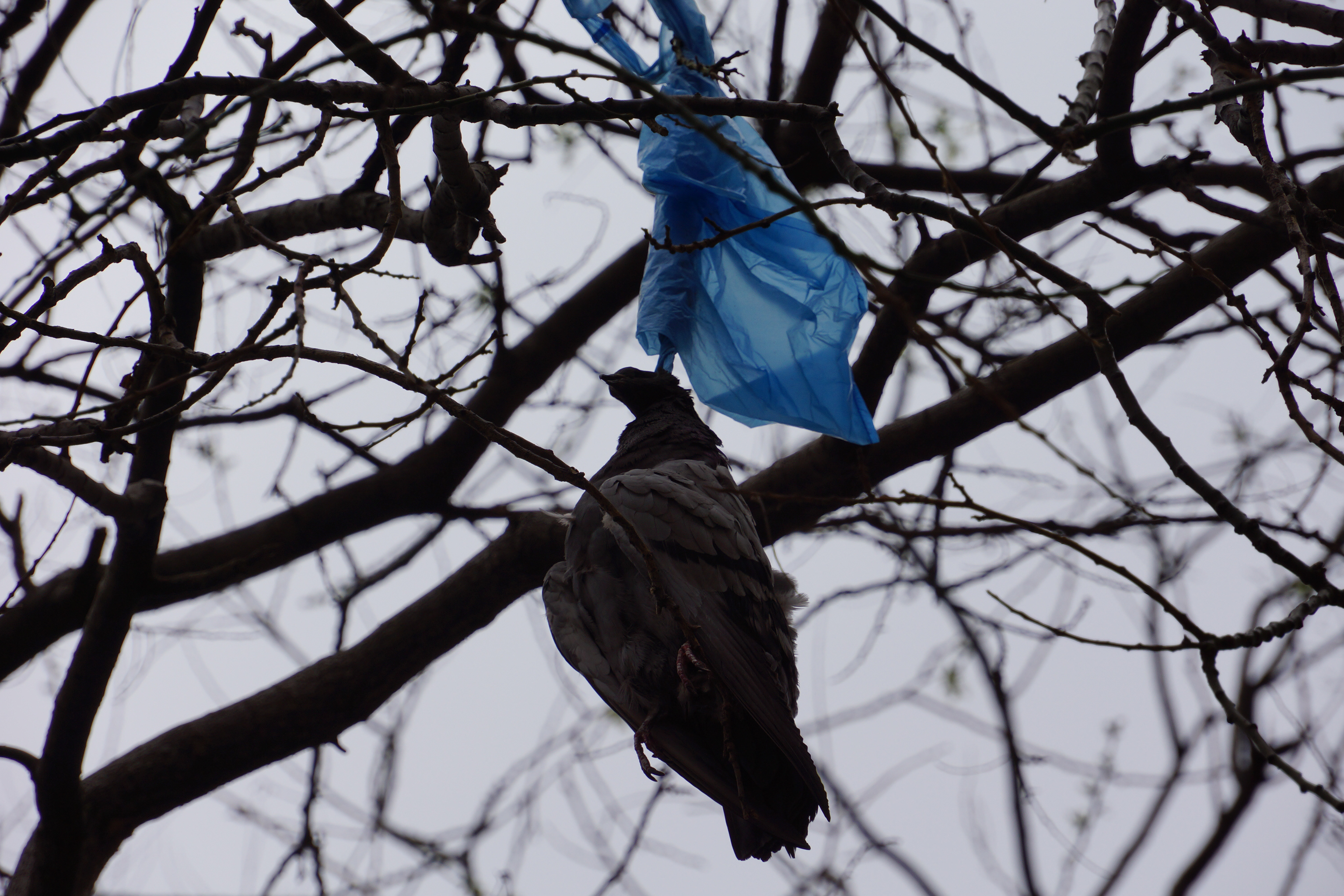 Photograph taken by Maïwenn Walter