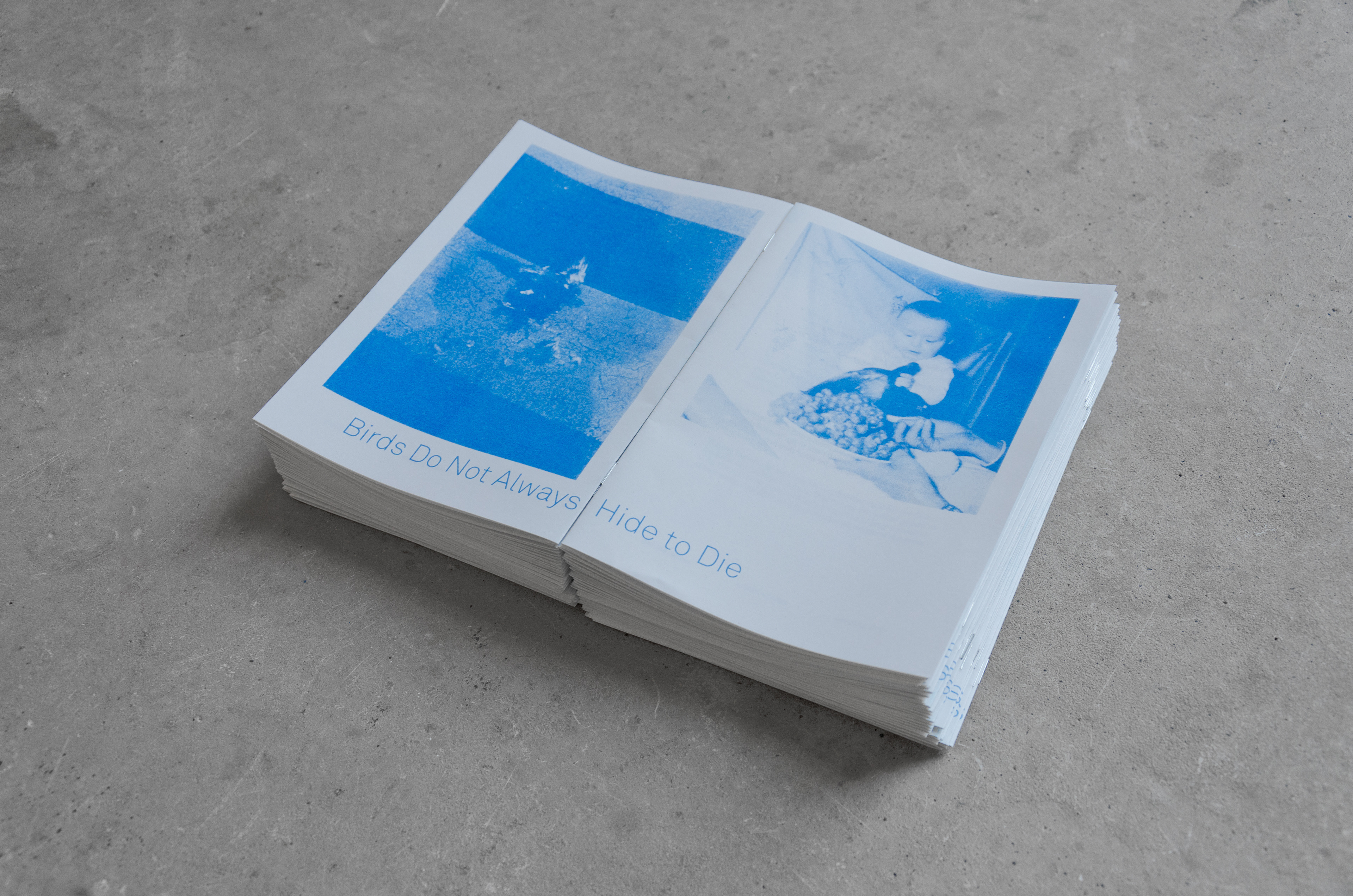 Catalogue with co-authored text by Derek Horton and Nick Thurston