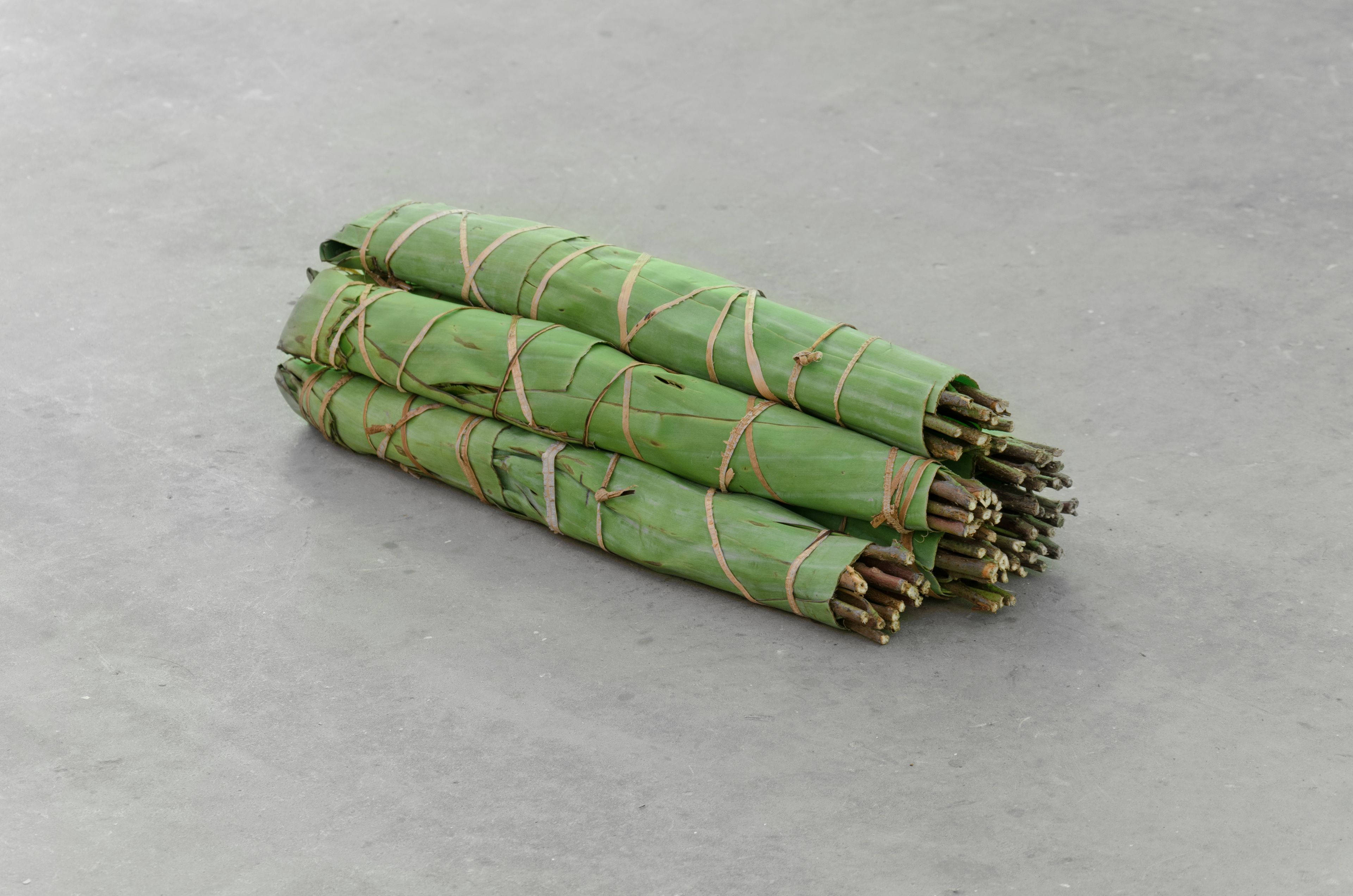 Sblood; Liam Wright-Higgins, 2013 Khat*, Banana Leaves, Theresa May; 50 × 30 × 30cm *A new law - making a class C controlled substance of khat - is raised in parliament on the 9th October 2013, and its implementation in regional municipalities is staggered over the ensuing fortnight.