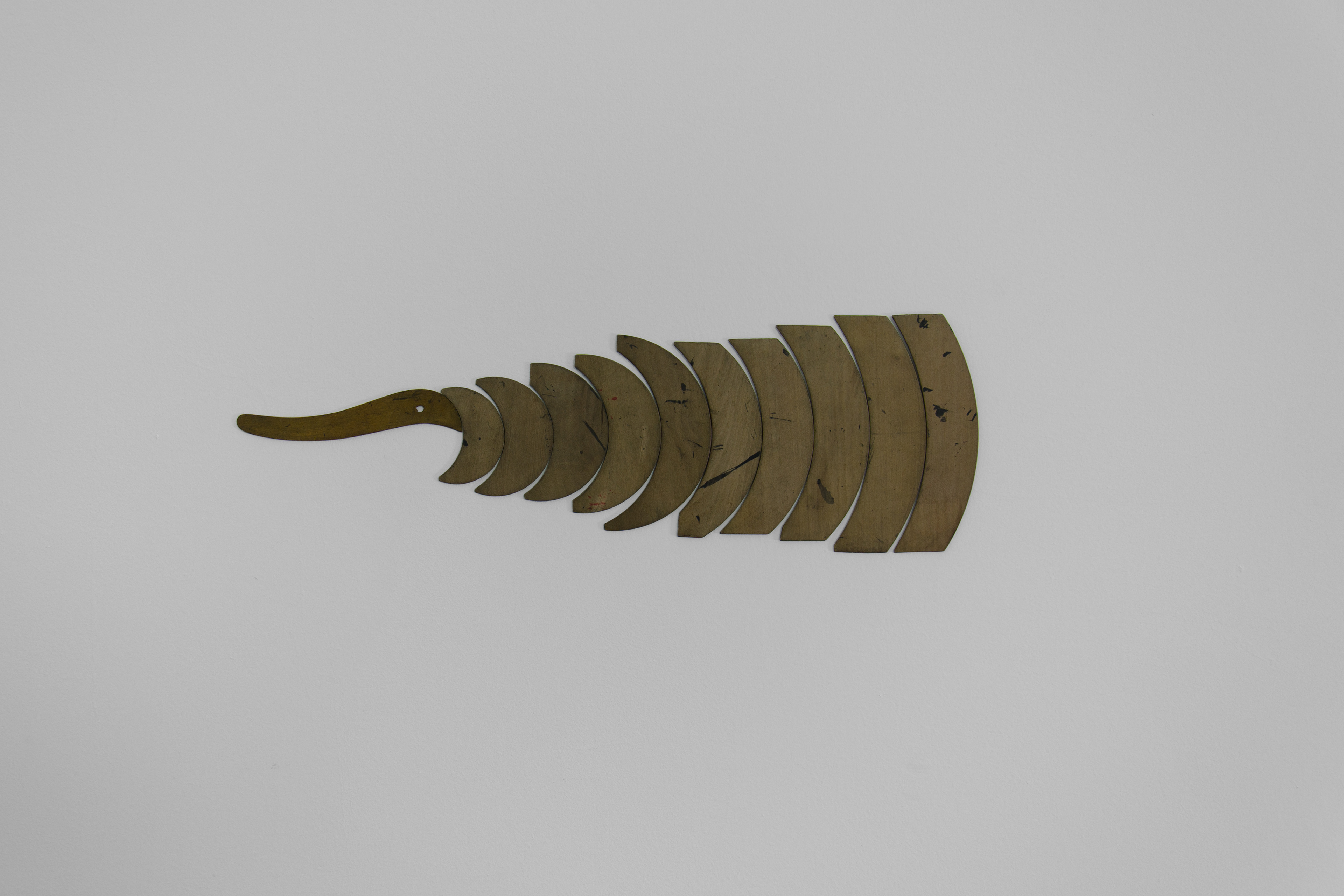 Template Drawing; Stuart Bennett, 2013; wooden templates; 15 × 37.5 × 0.2cm