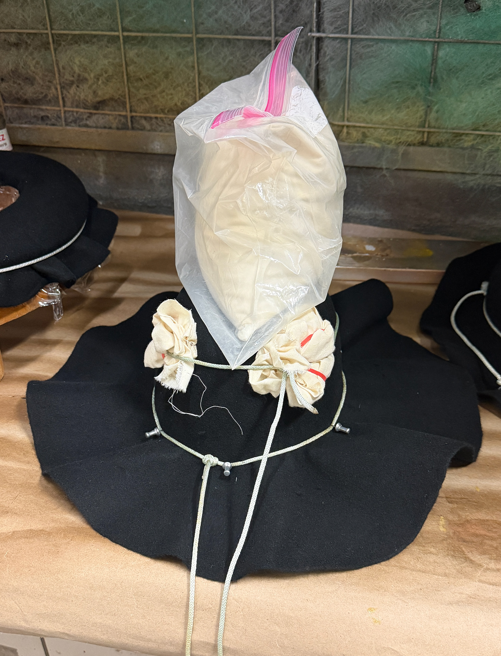 blocking crown with gelatin solution