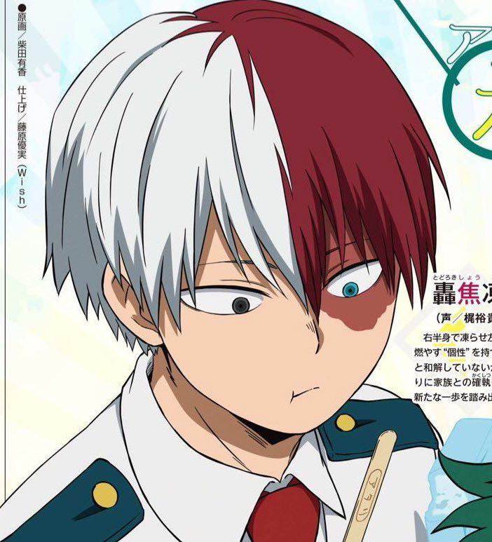 Character reference: Shoto Todoroki from My Hero Academia