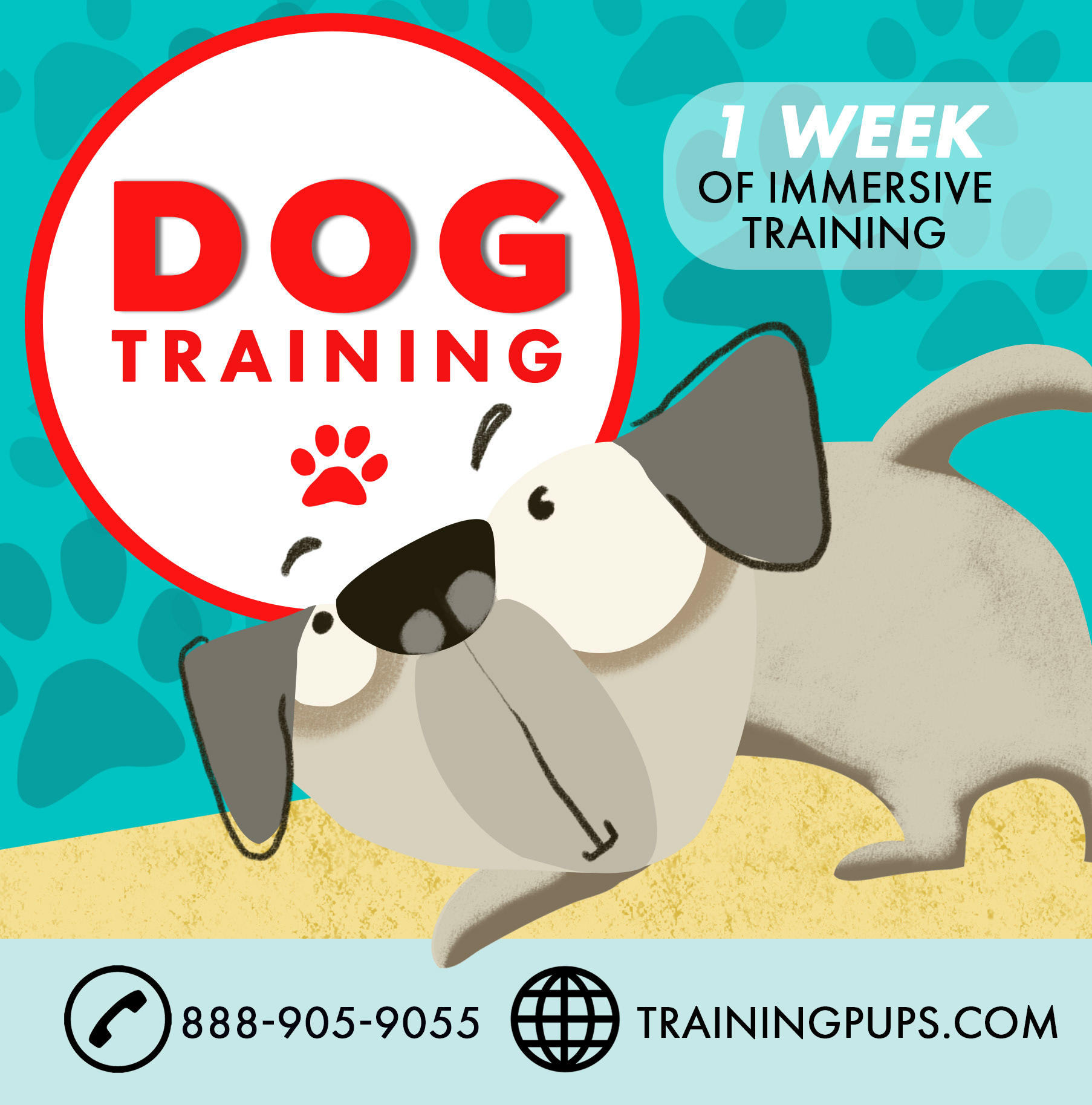 Dog training social media image by Jan Dolby