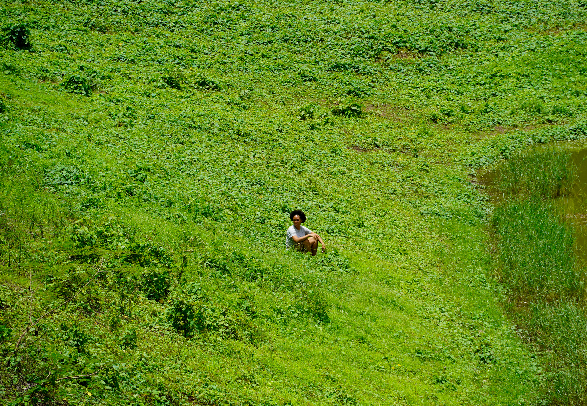 [Photo of me in local reservoir, Antigua and Barbuda]