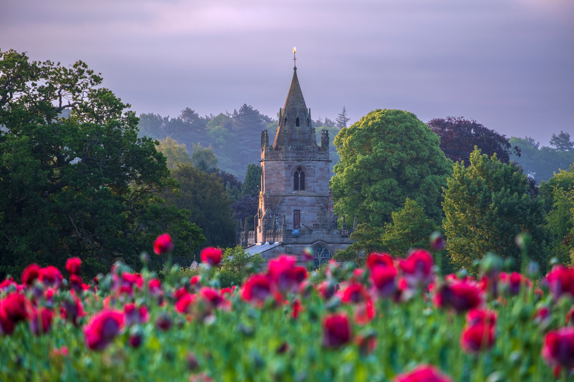 Tong Church and Poppies