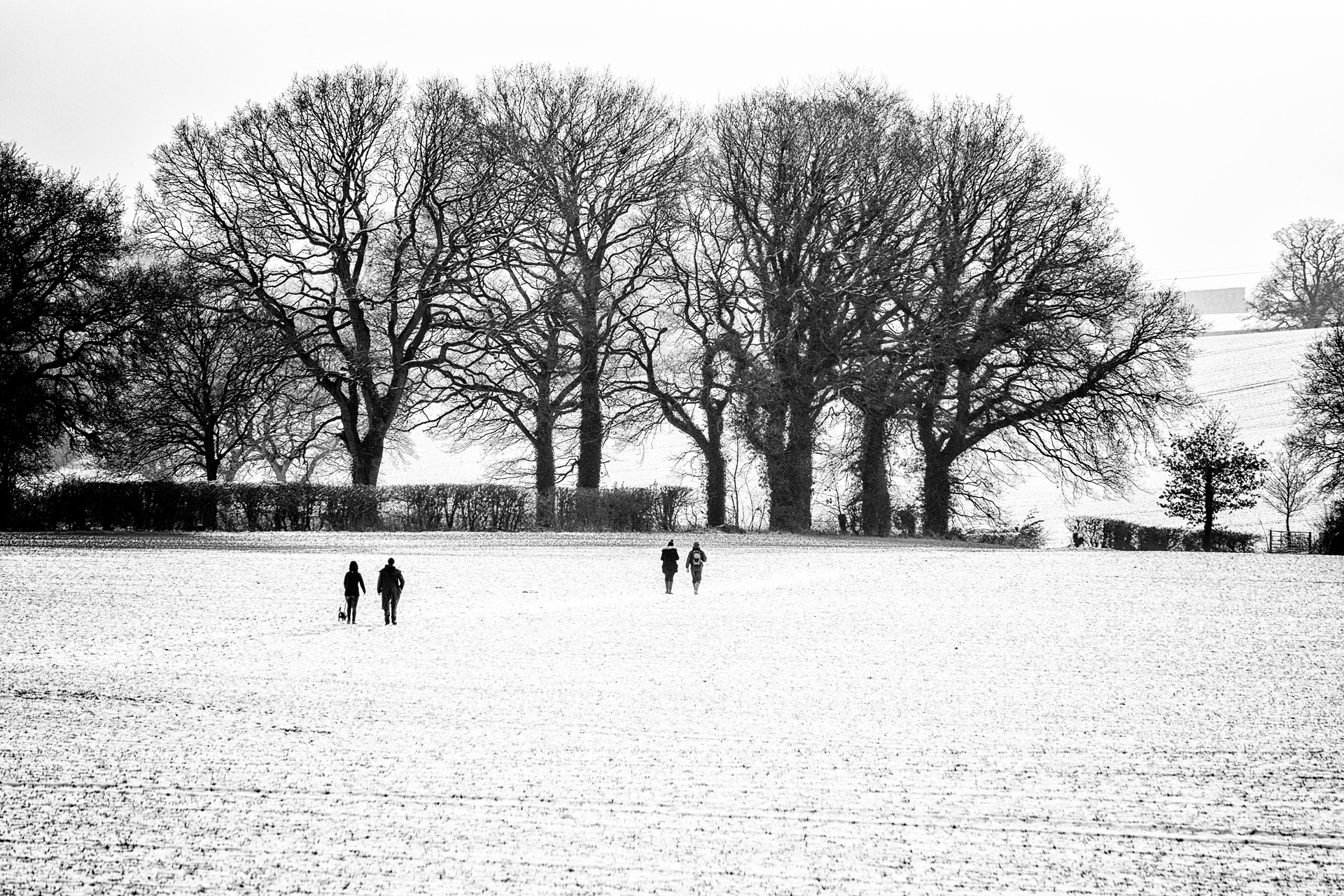 Winter Walkers