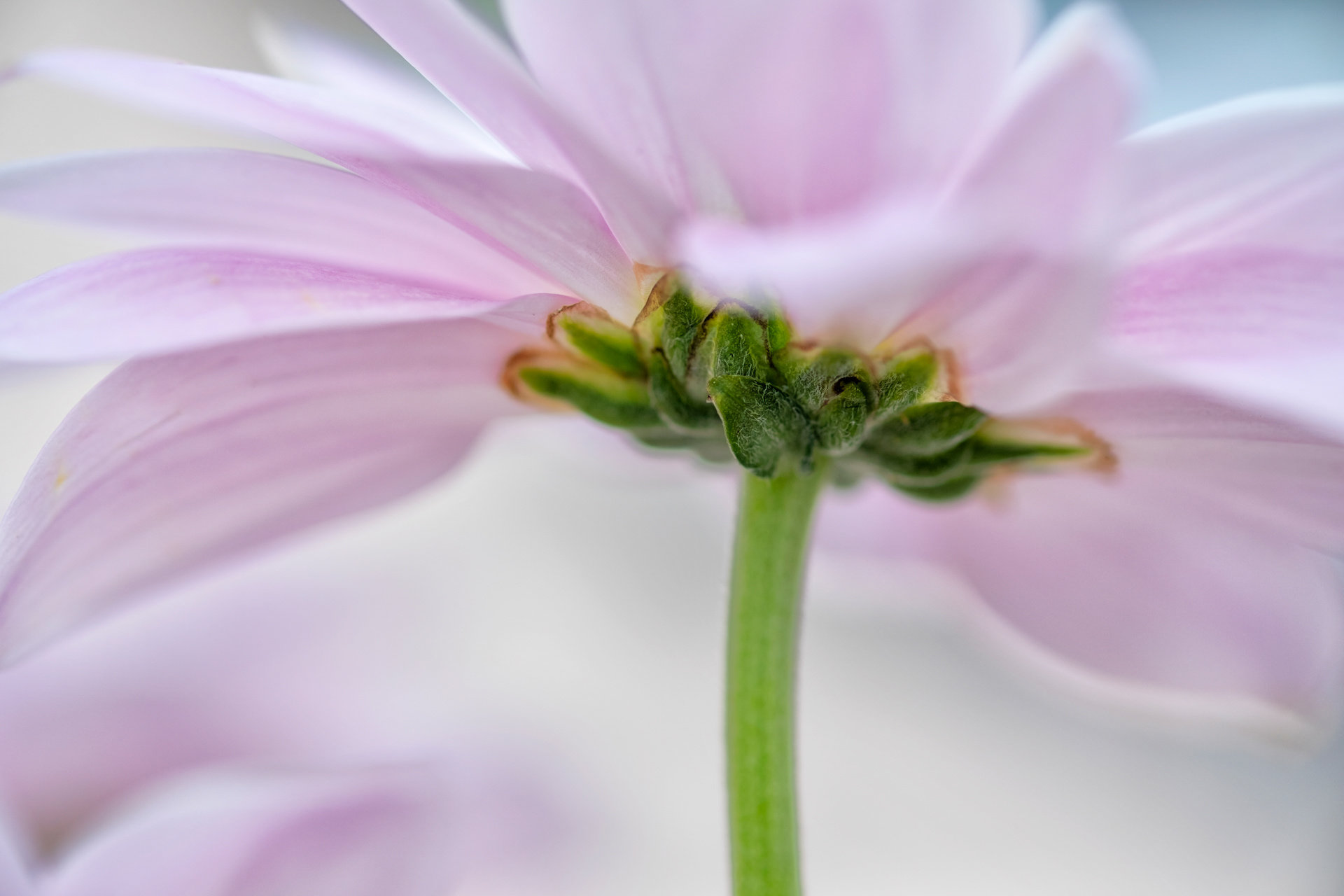The Underside