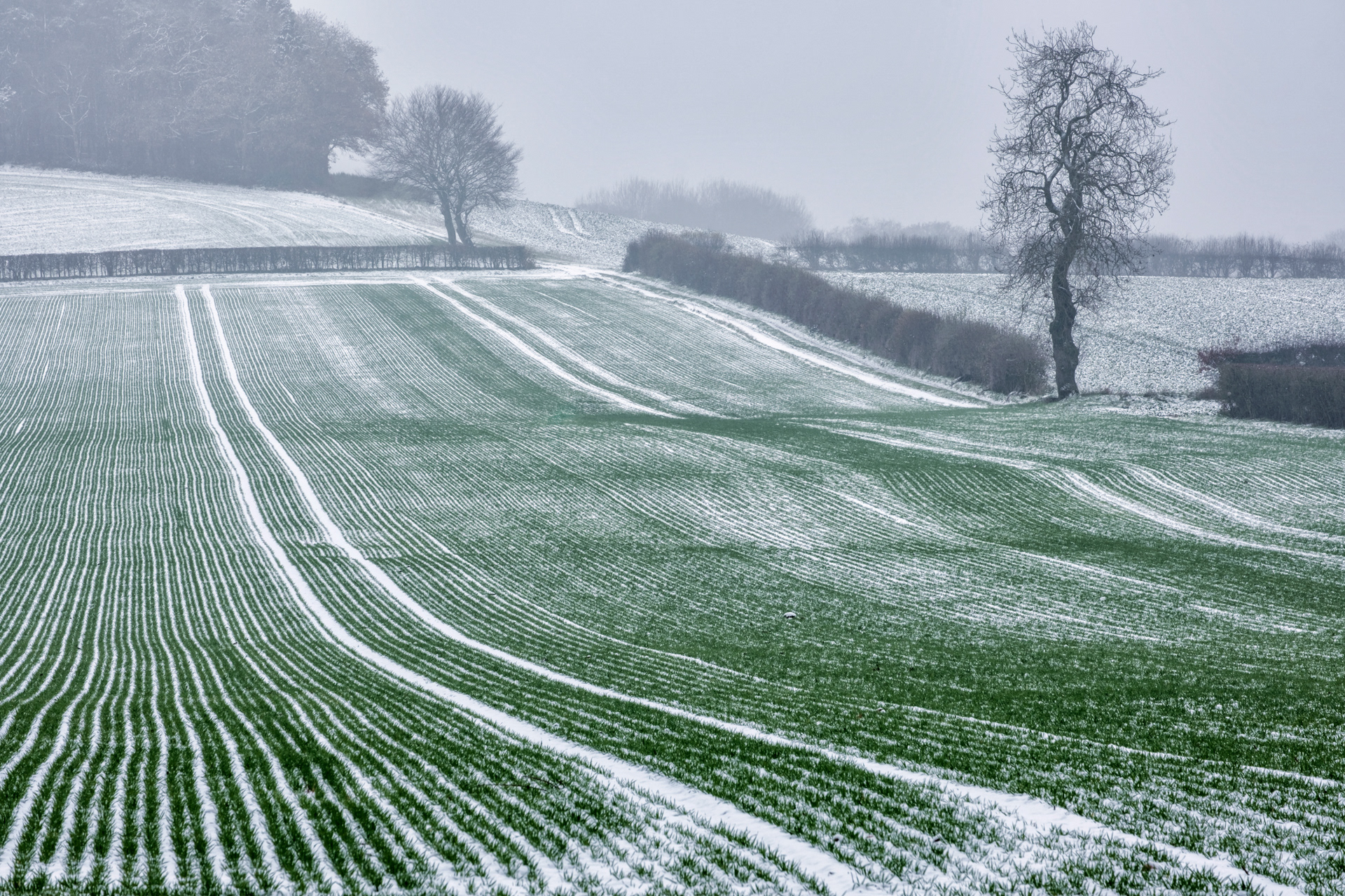 Snow and Furrows
