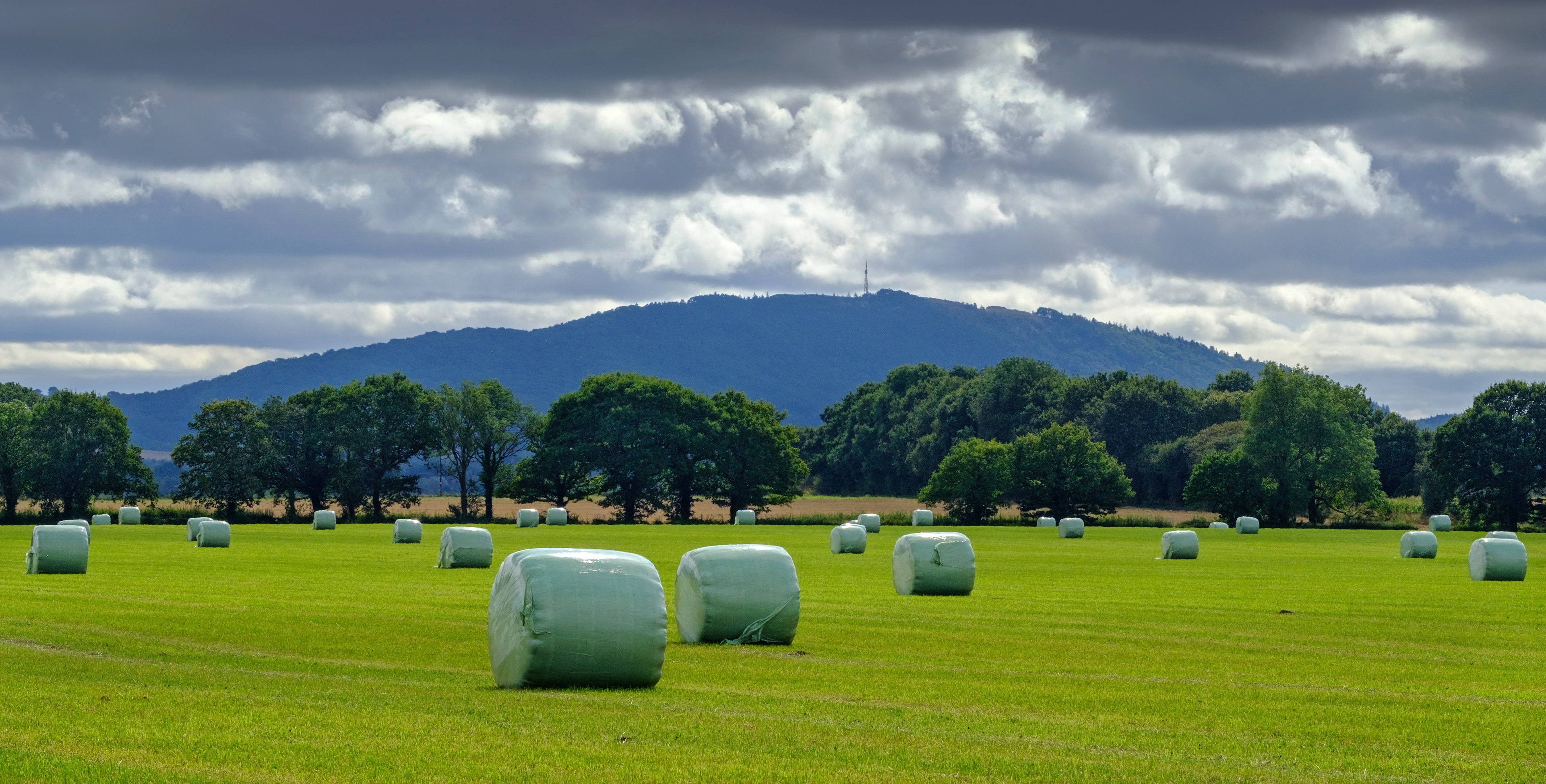 Wrekin Harvest