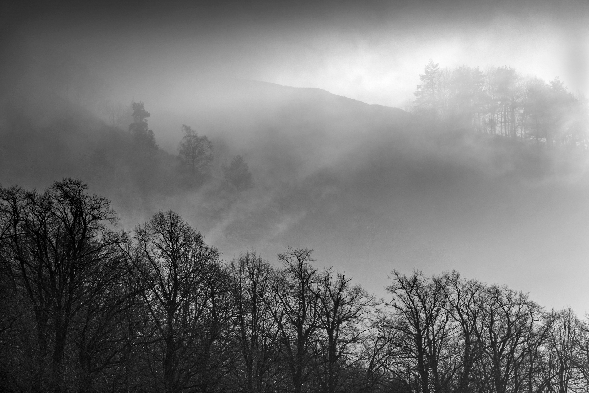 Wrekin Mist