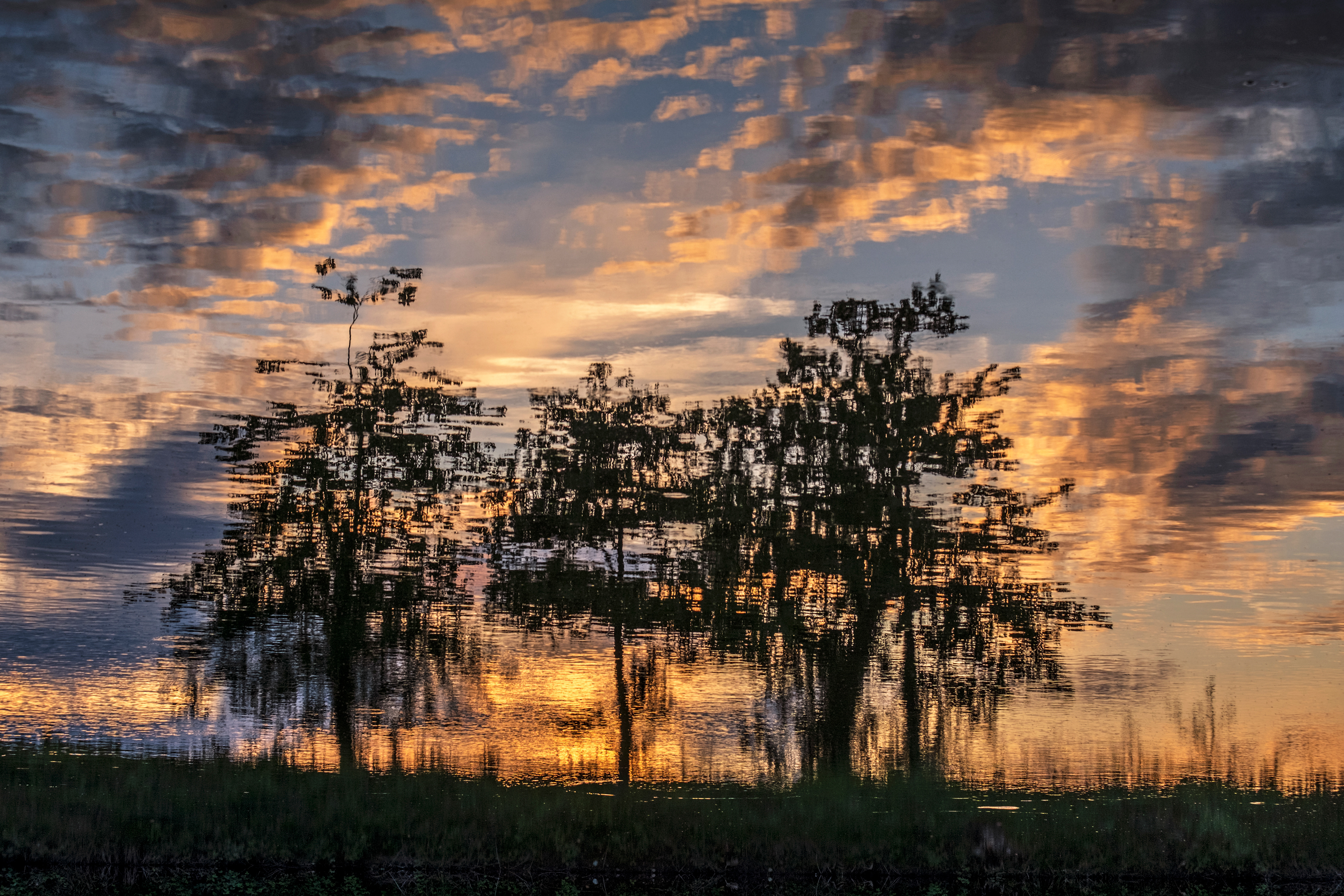 Shimmering Reflections