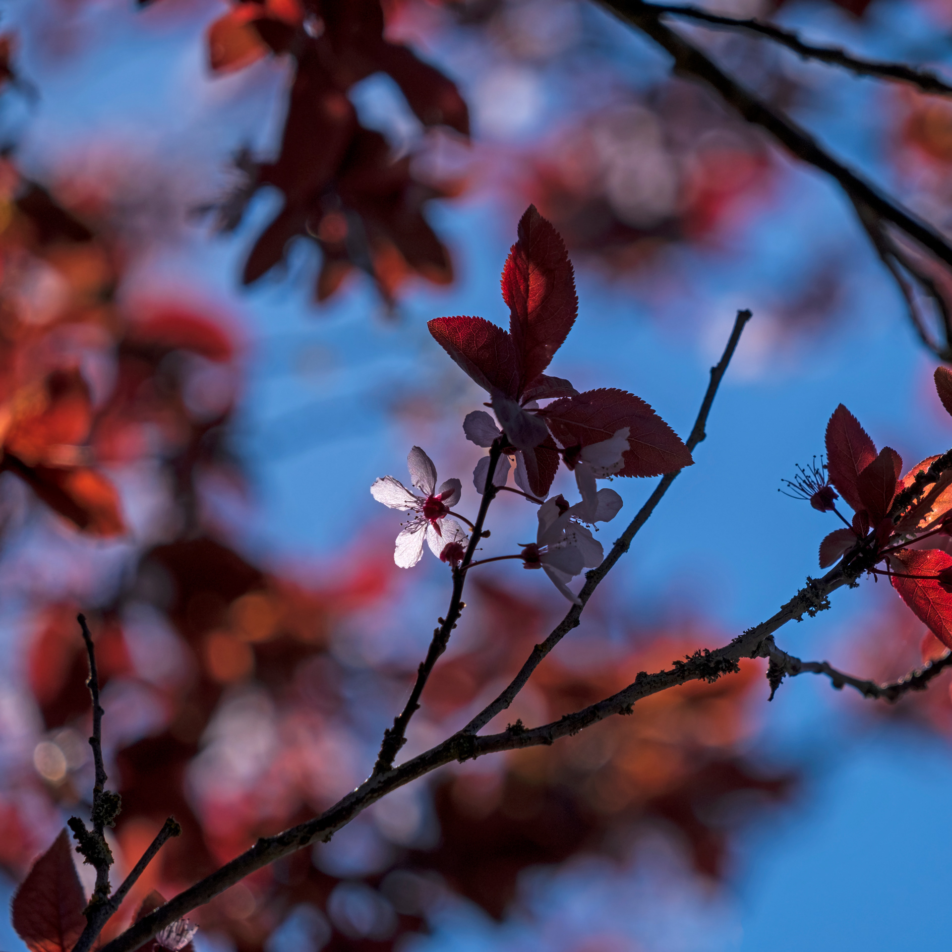 Catching The Light