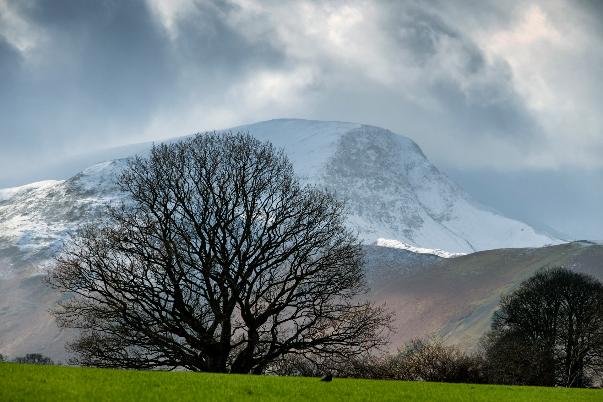 Approaching Snowstorm