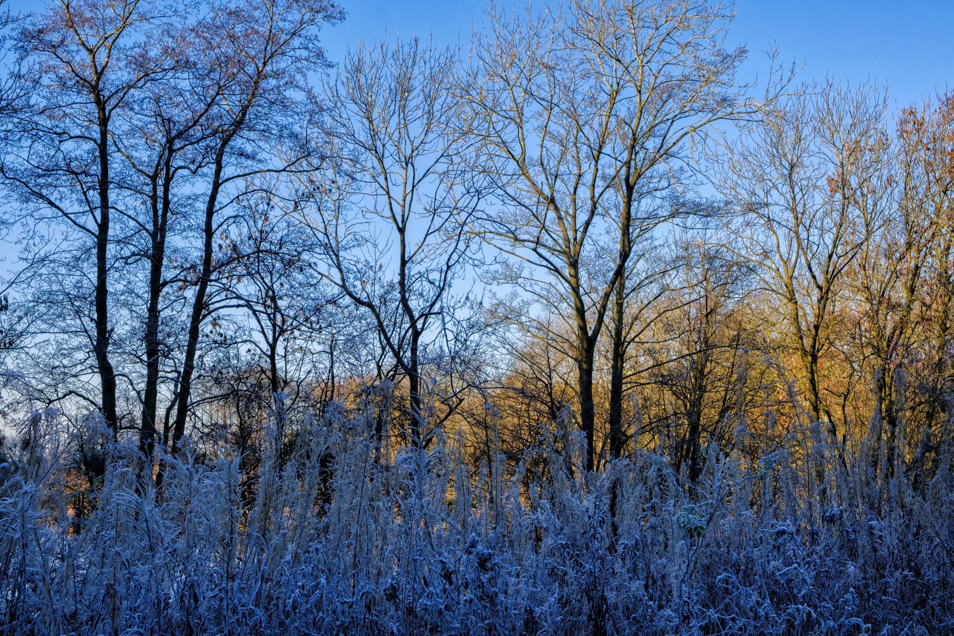 Sunlight and Shadows