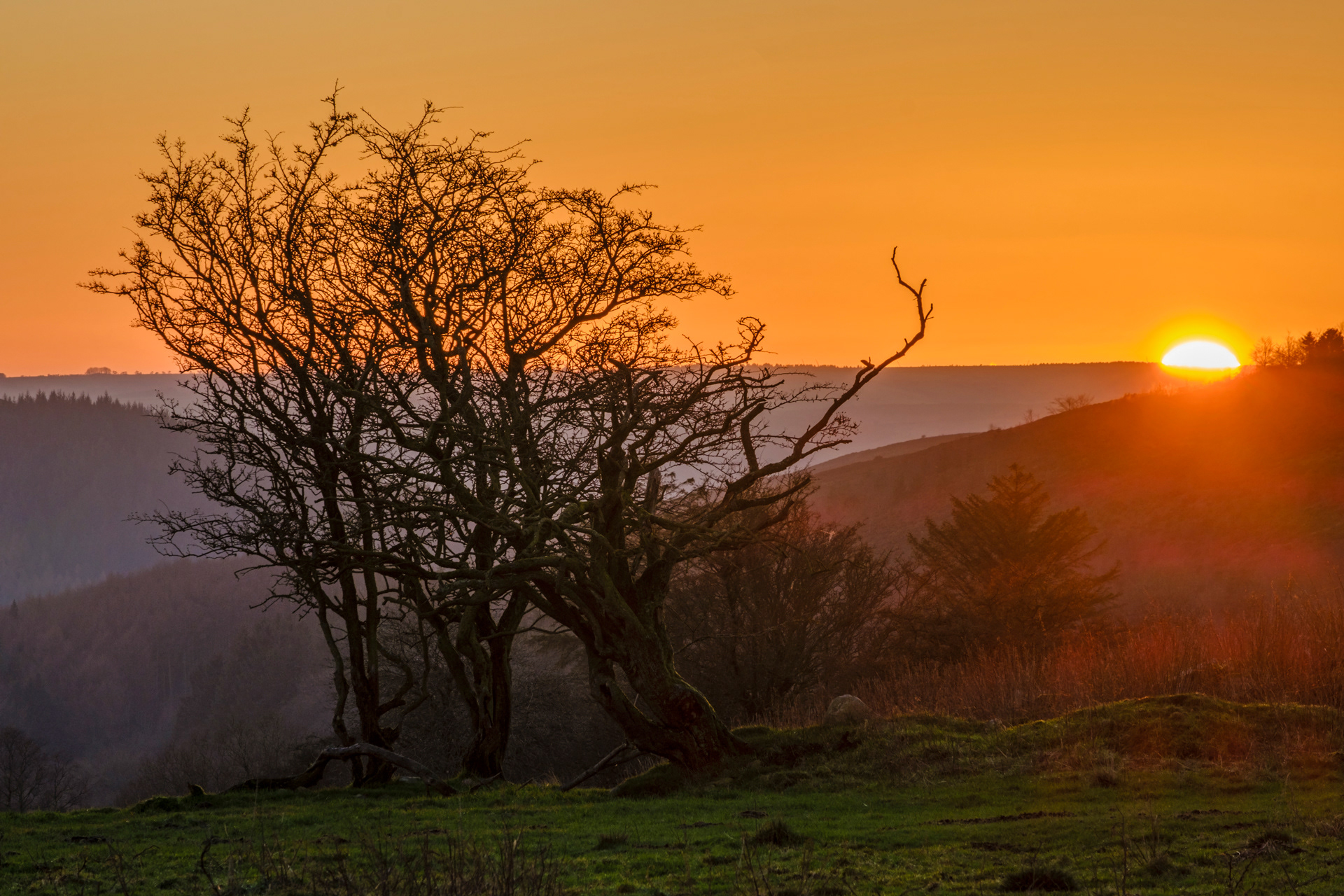 Stiperstones Sunset