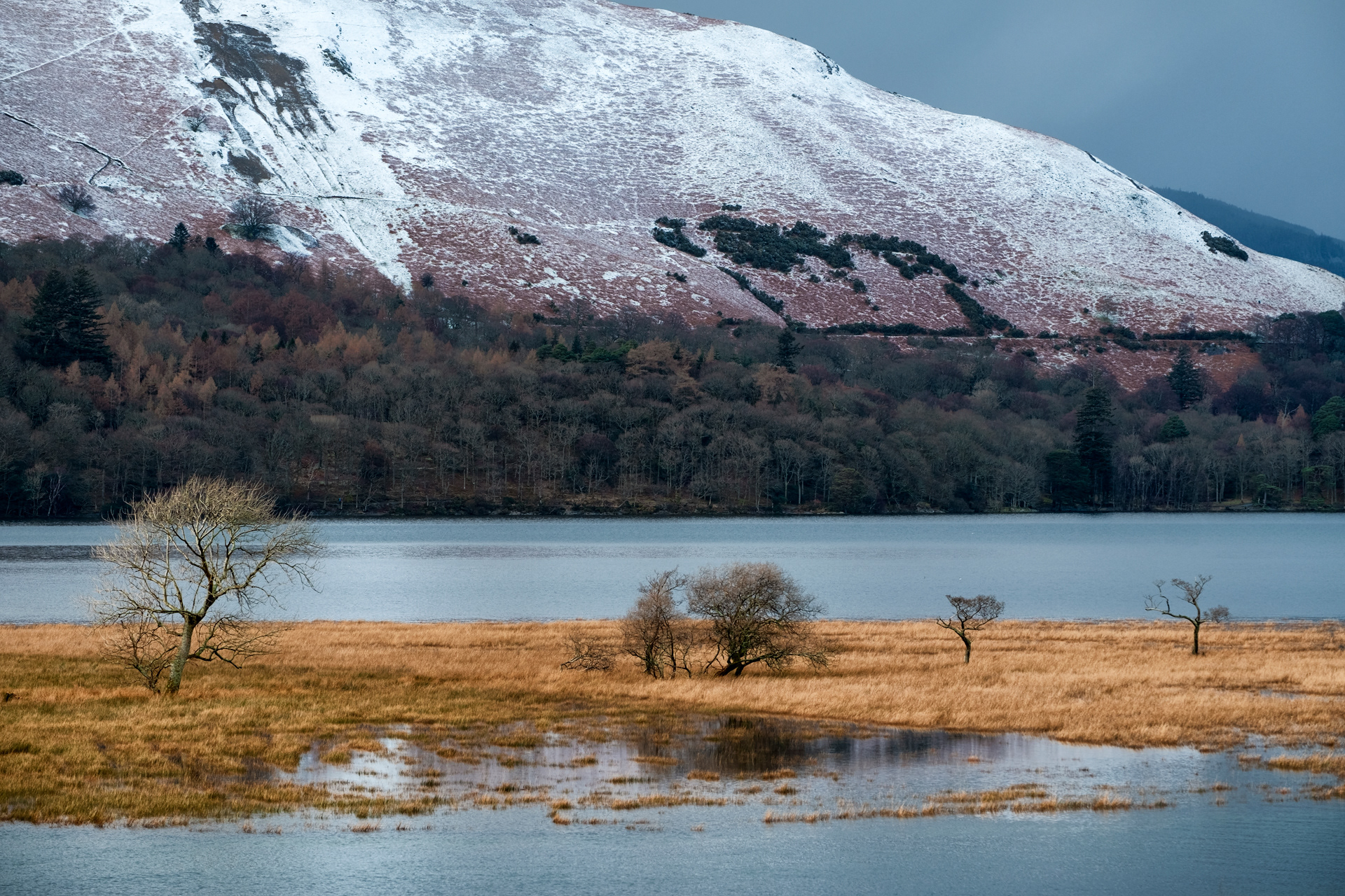 Derwentwater Snowlike